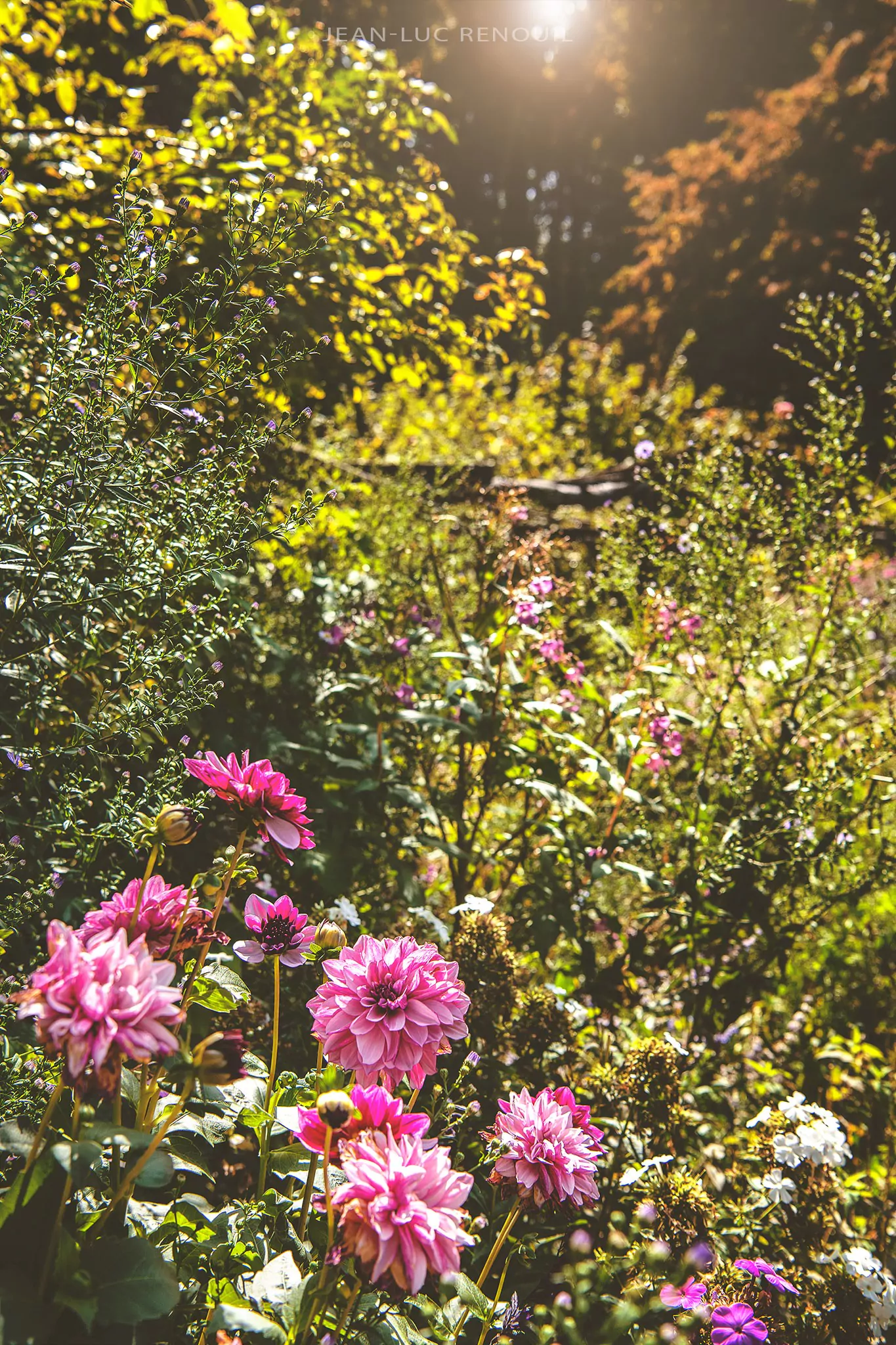 Les jardins de Cadiot