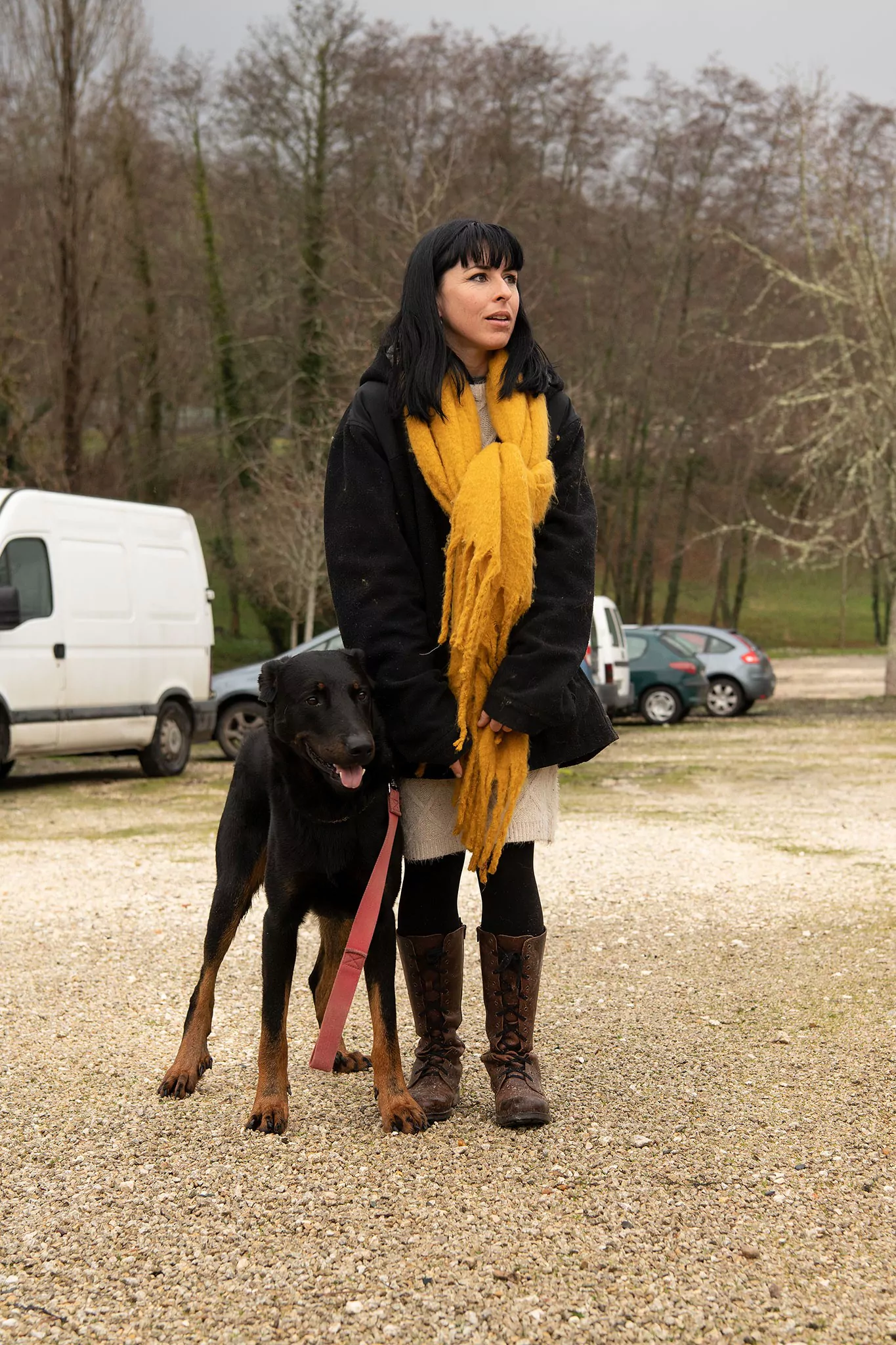 Le Noël des chiens