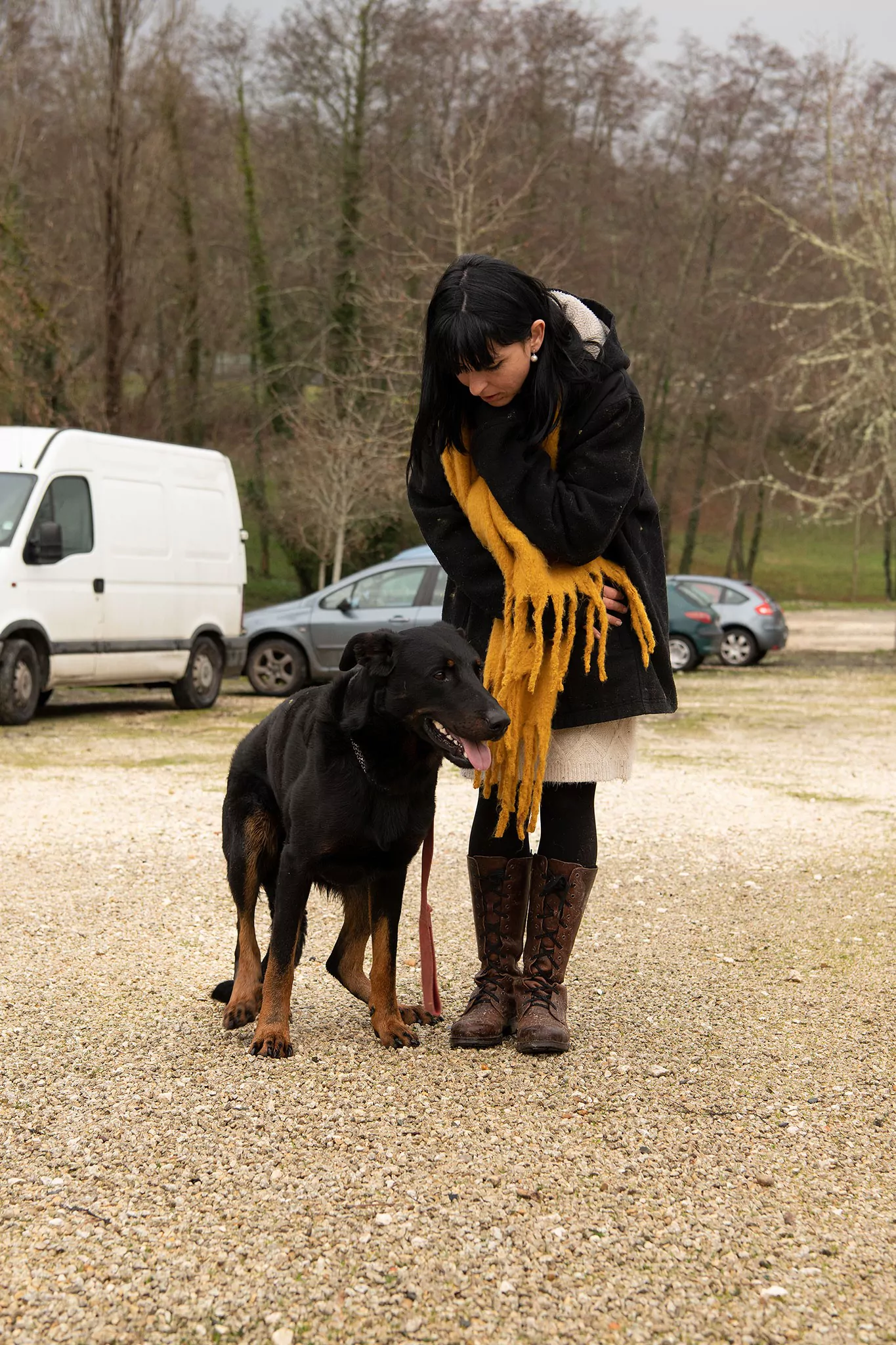 Le Noël des chiens
