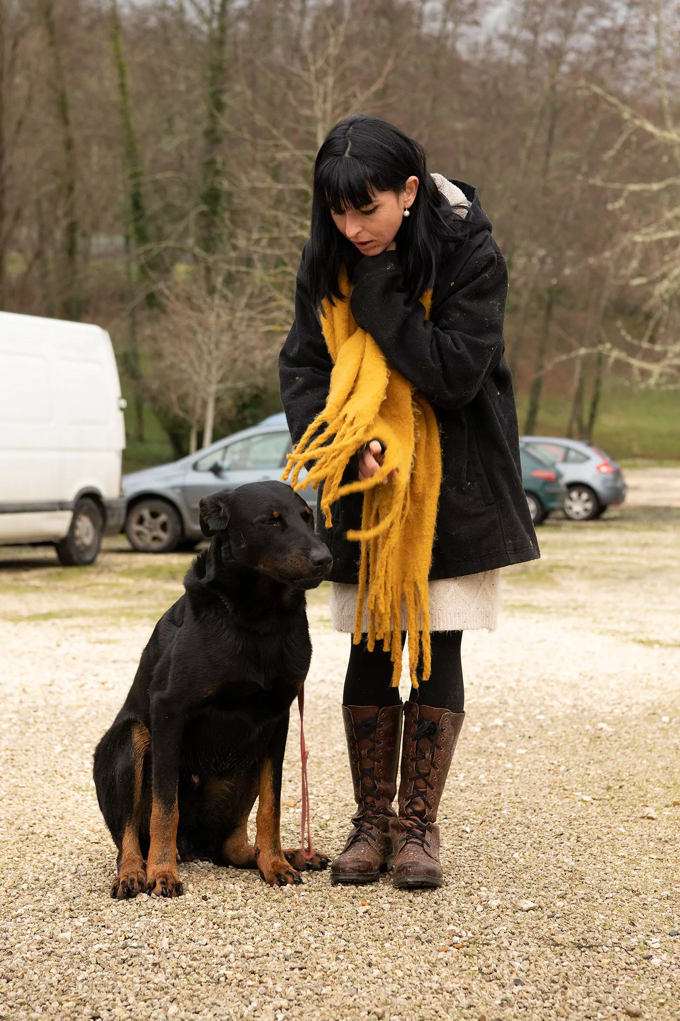 Le Noël des chiens
