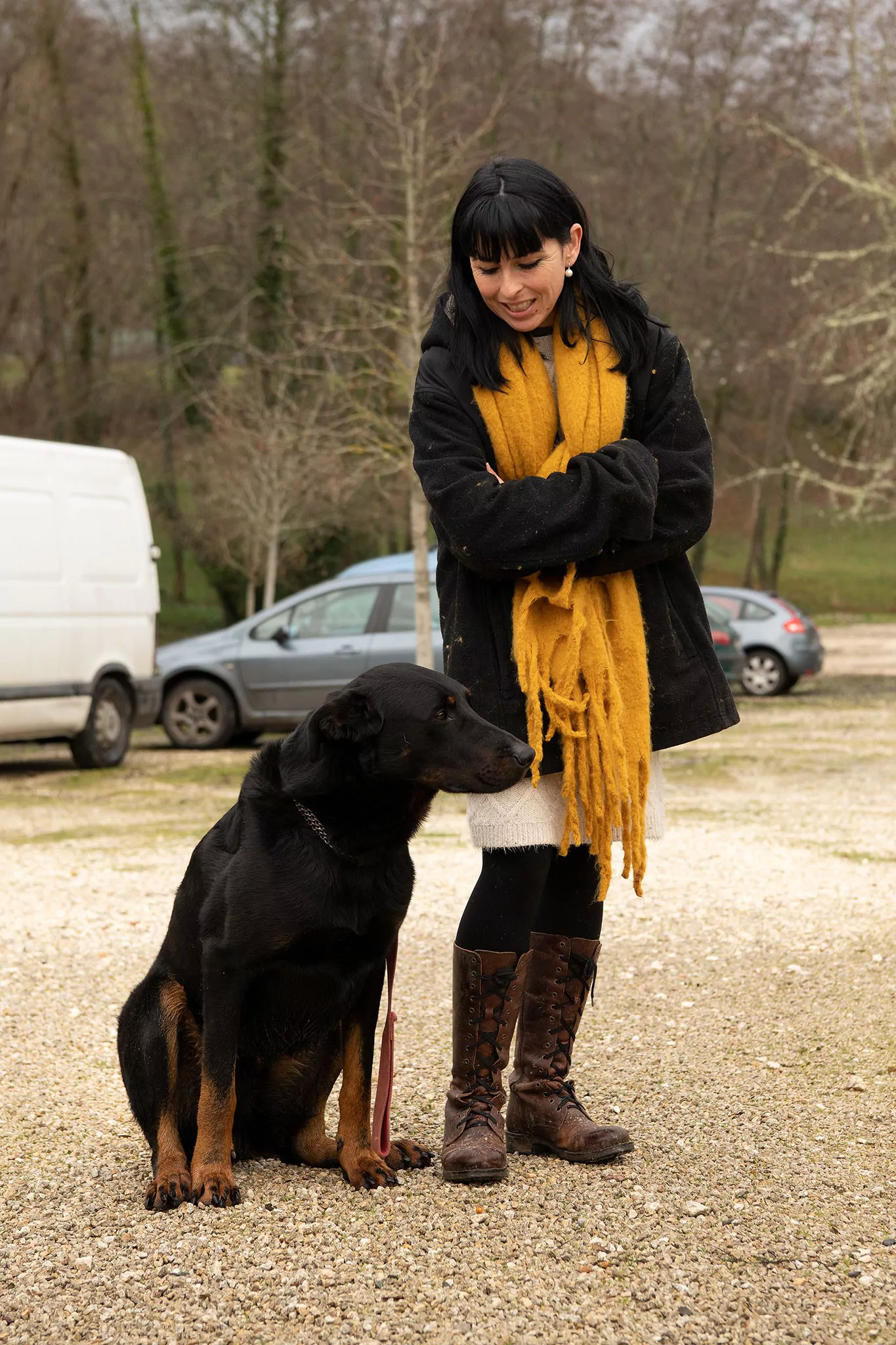 Le Noël des chiens