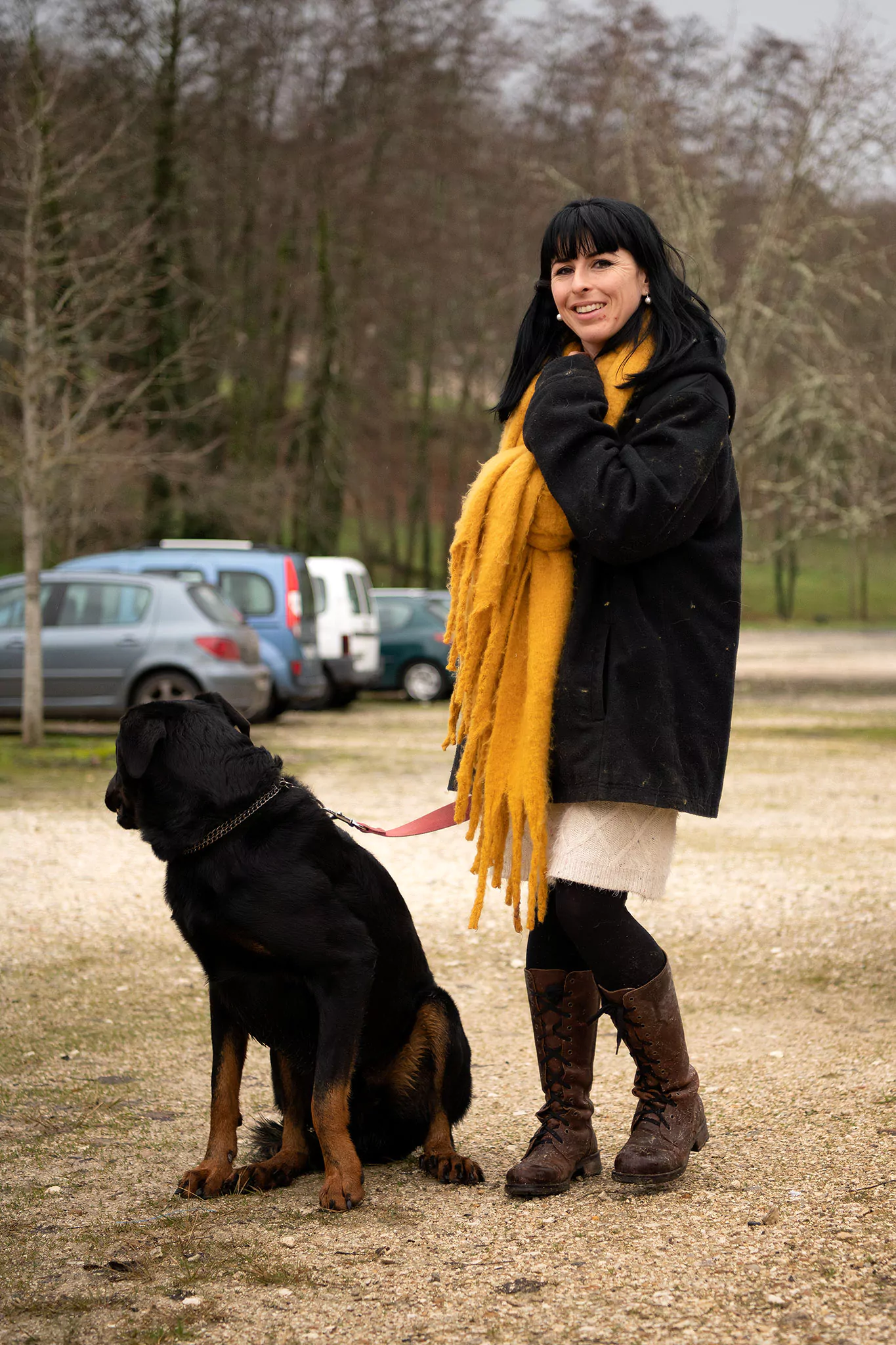 Le Noël des chiens