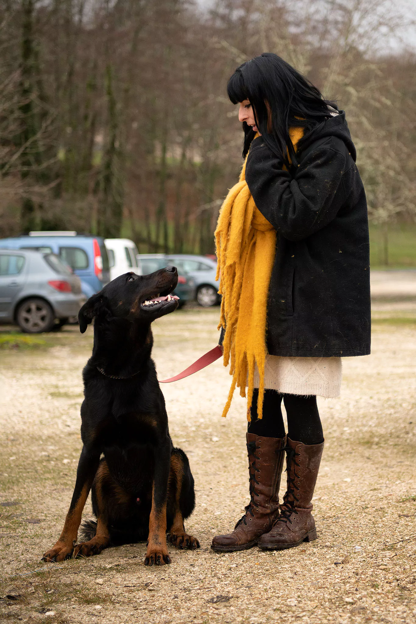 Le Noël des chiens