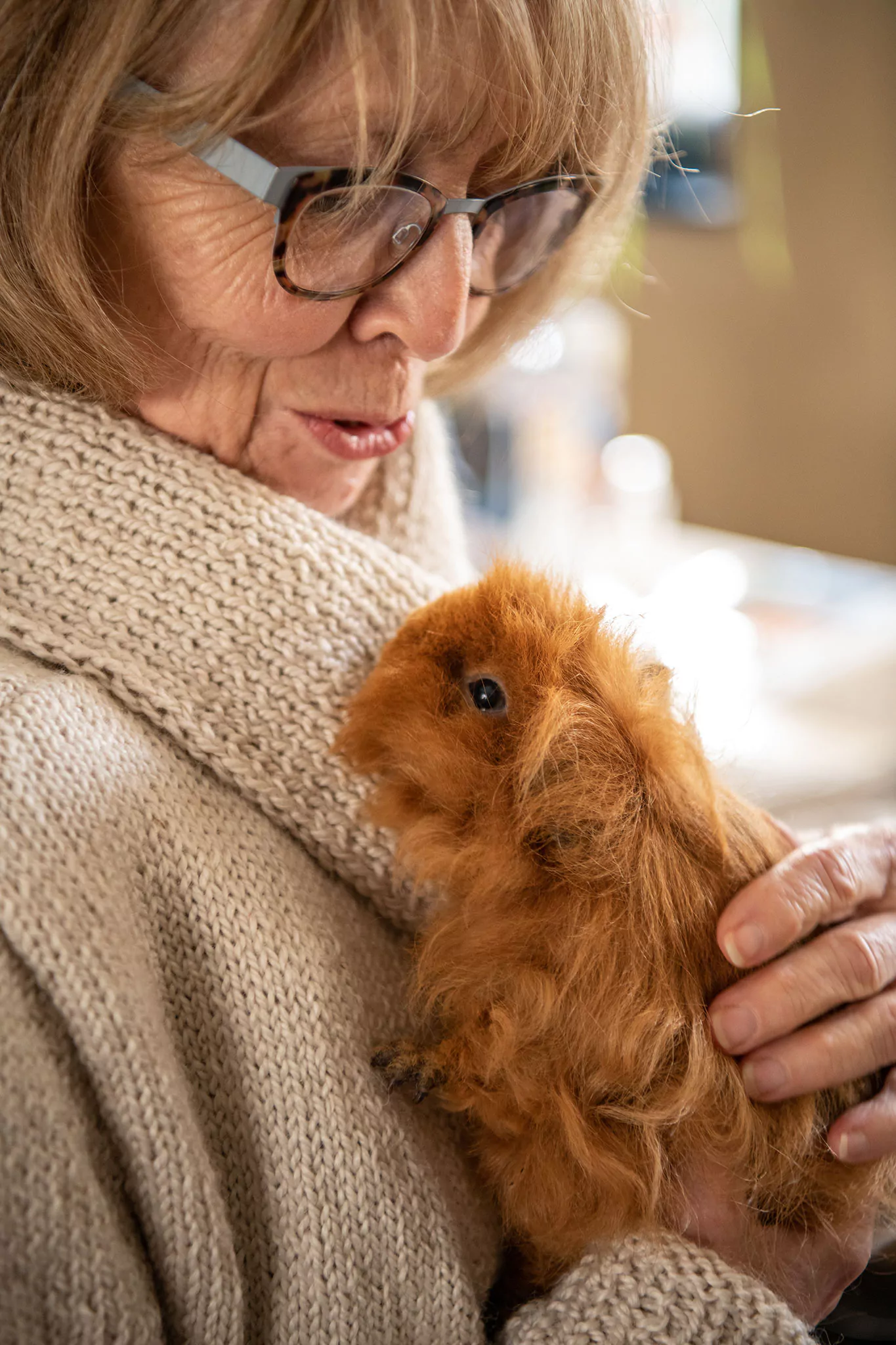 Le Noël des chiens