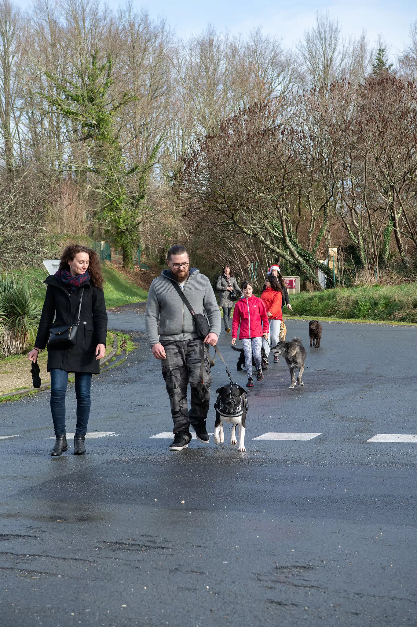 Le Noël des chiens