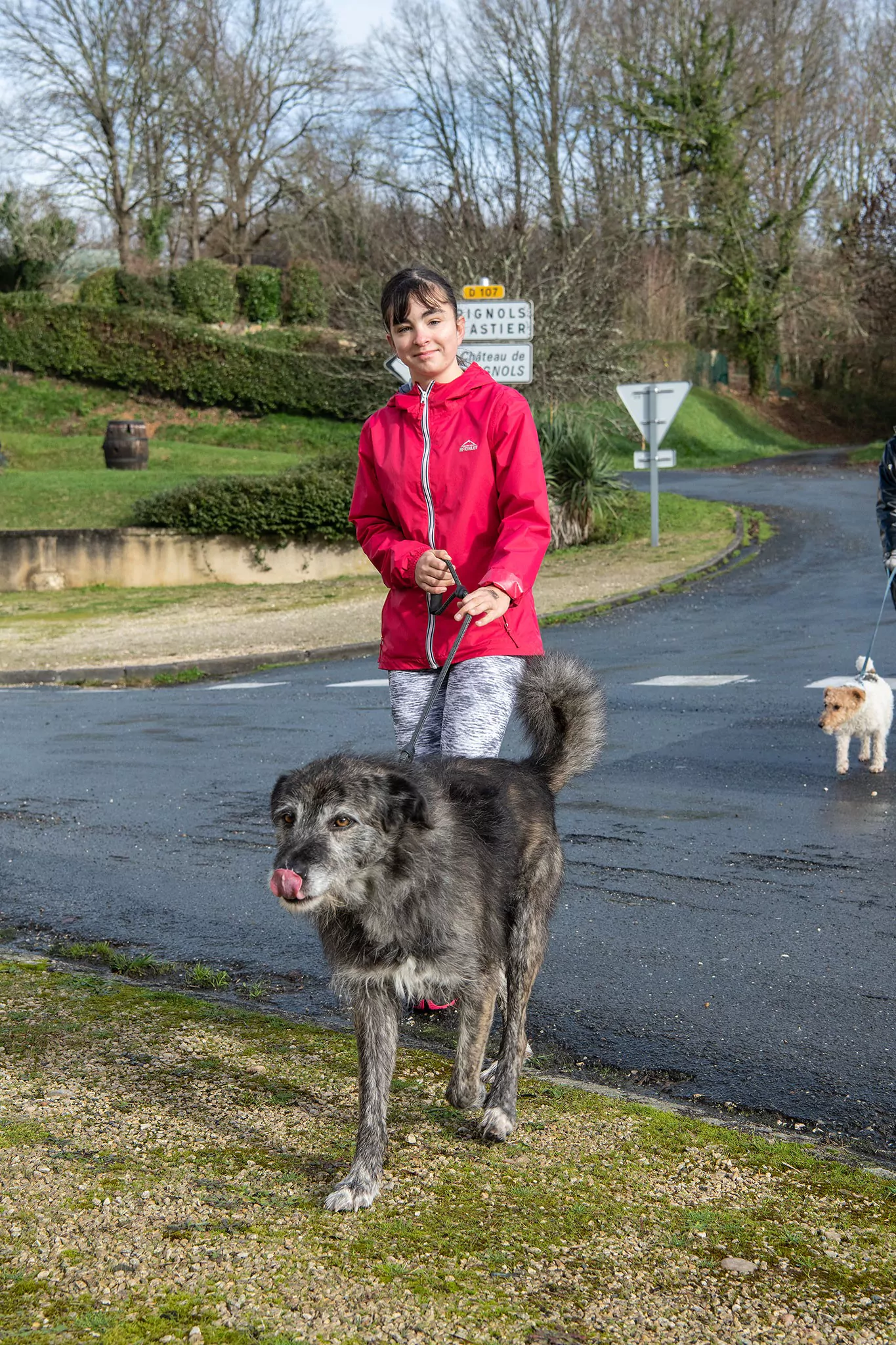 Le Noël des chiens
