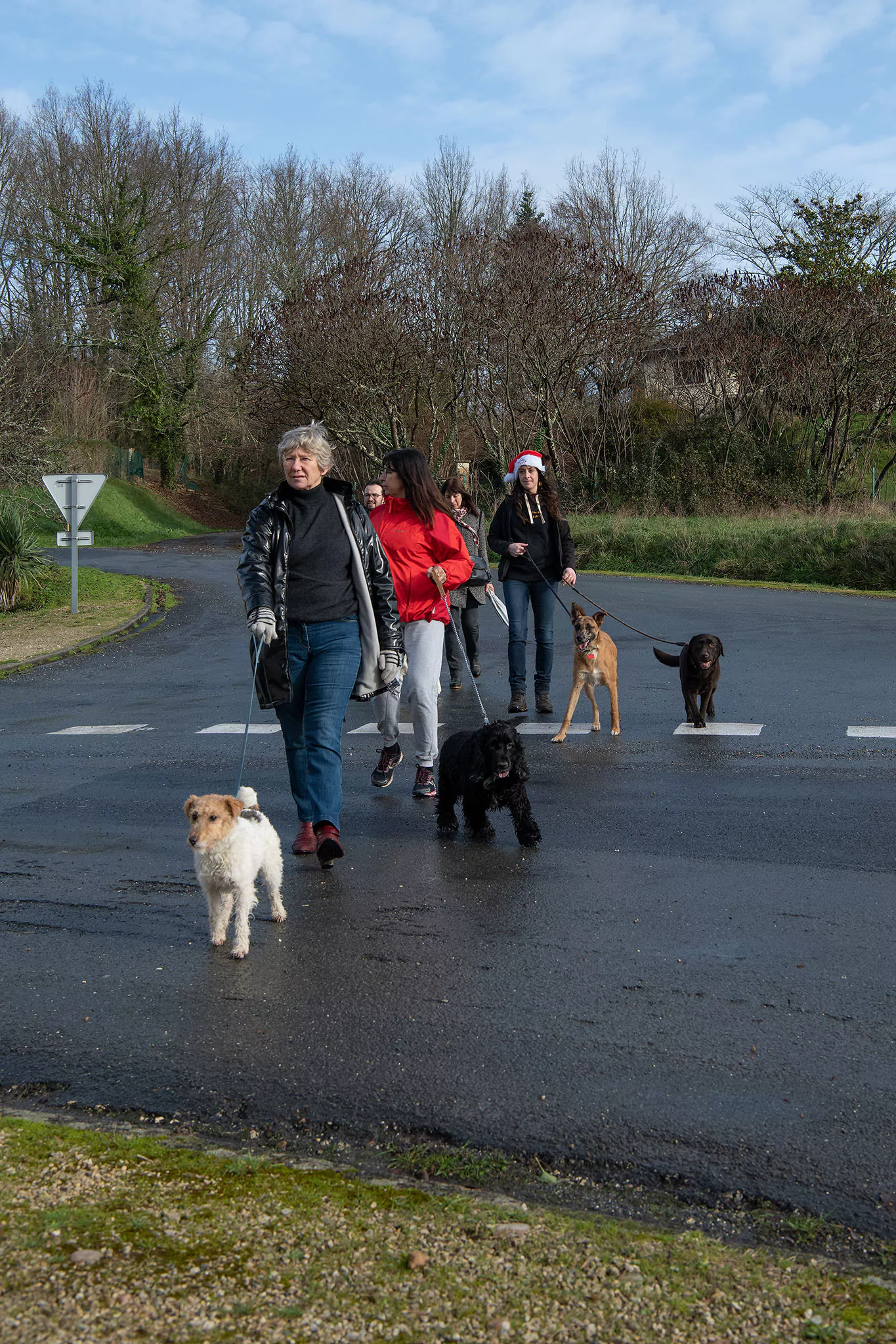 Le Noël des chiens