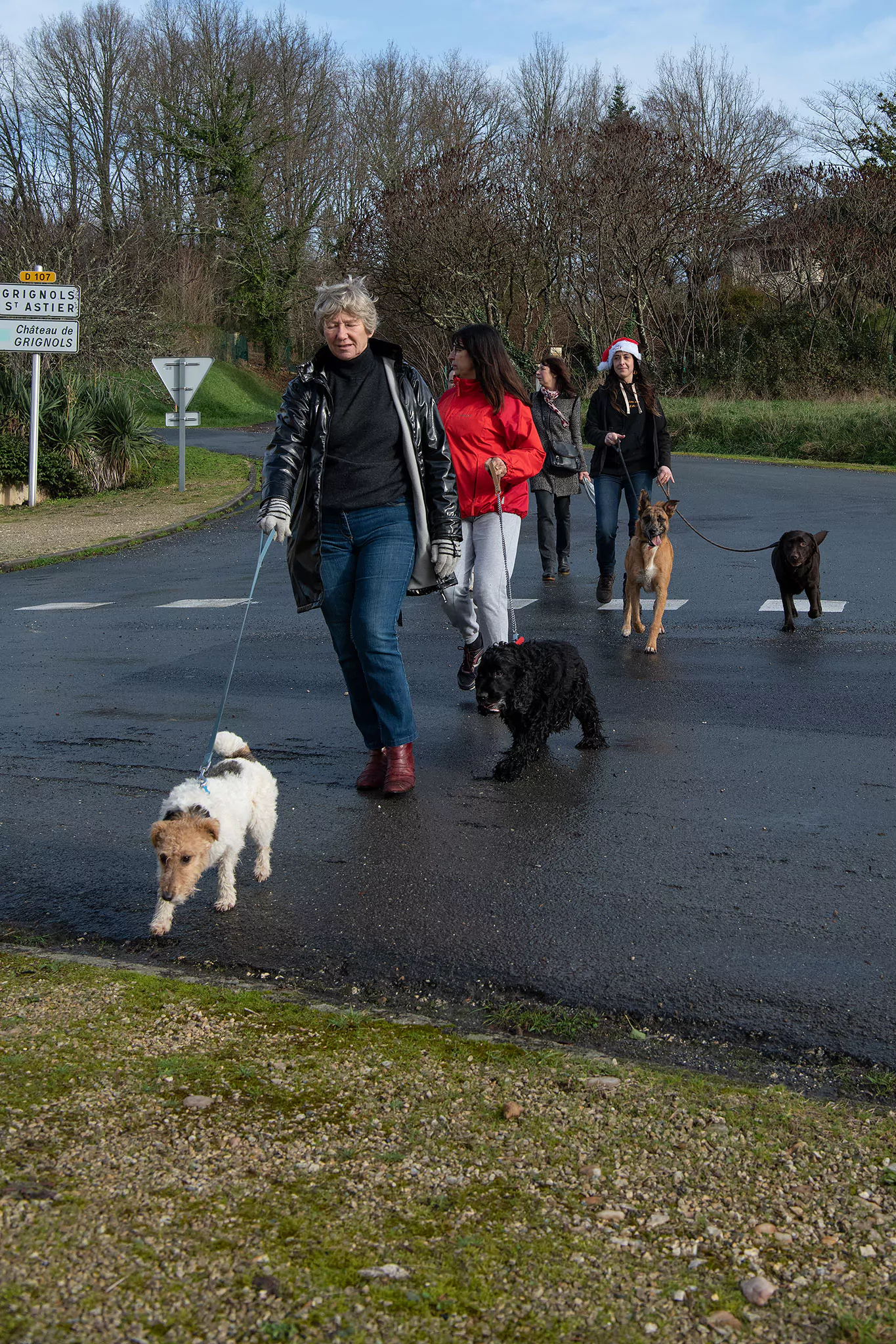 Le Noël des chiens