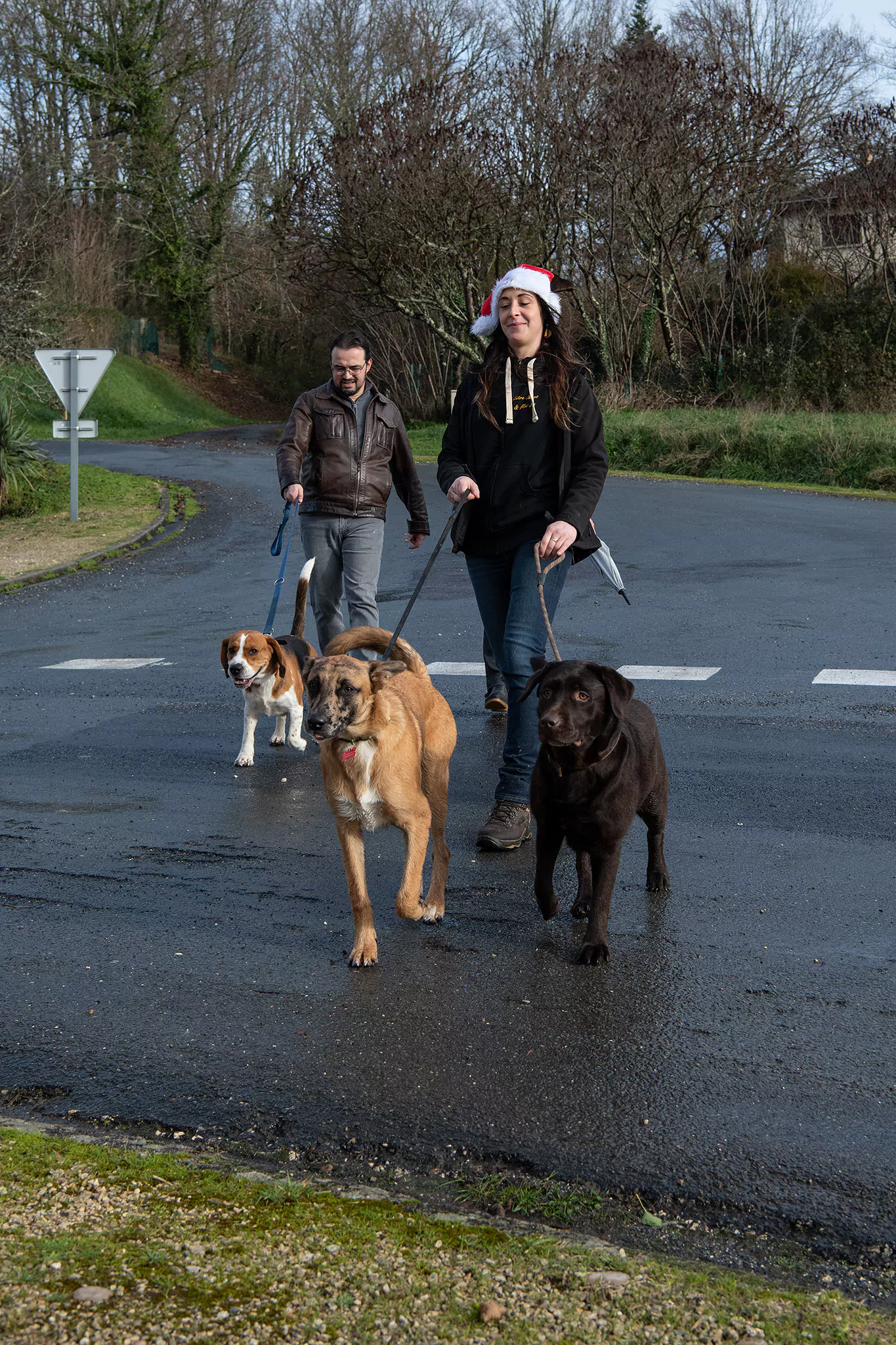 Le Noël des chiens