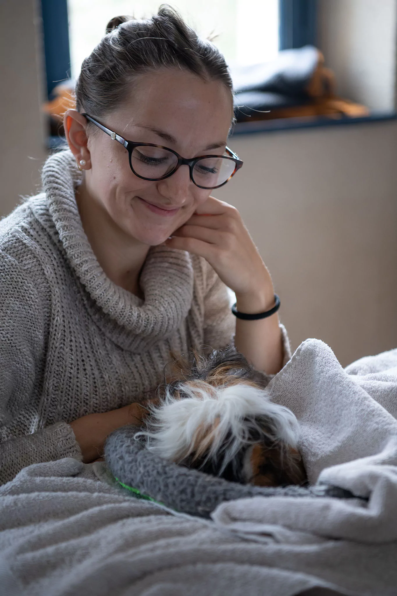 Le Noël des chiens