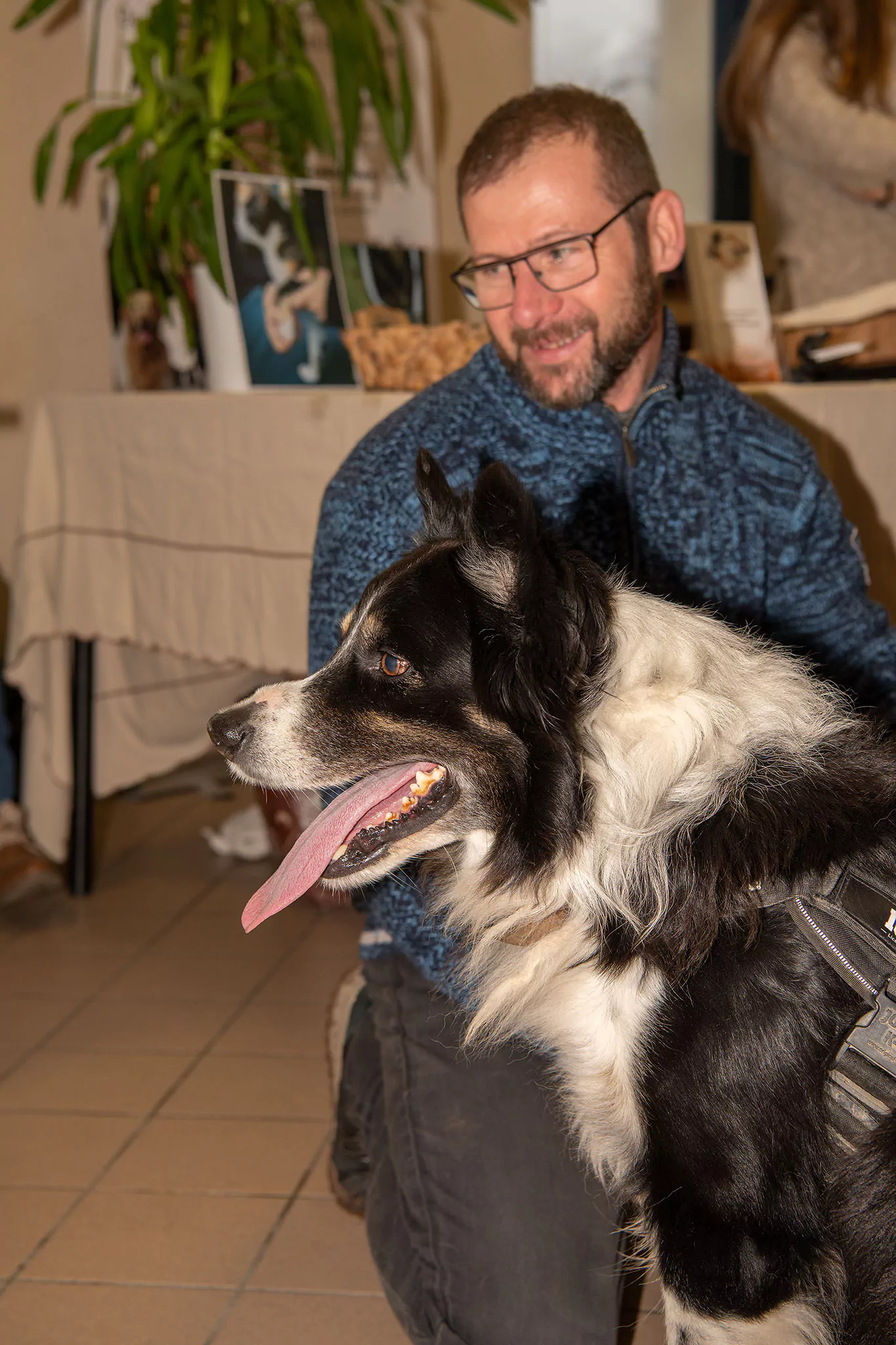 Le Noël des chiens