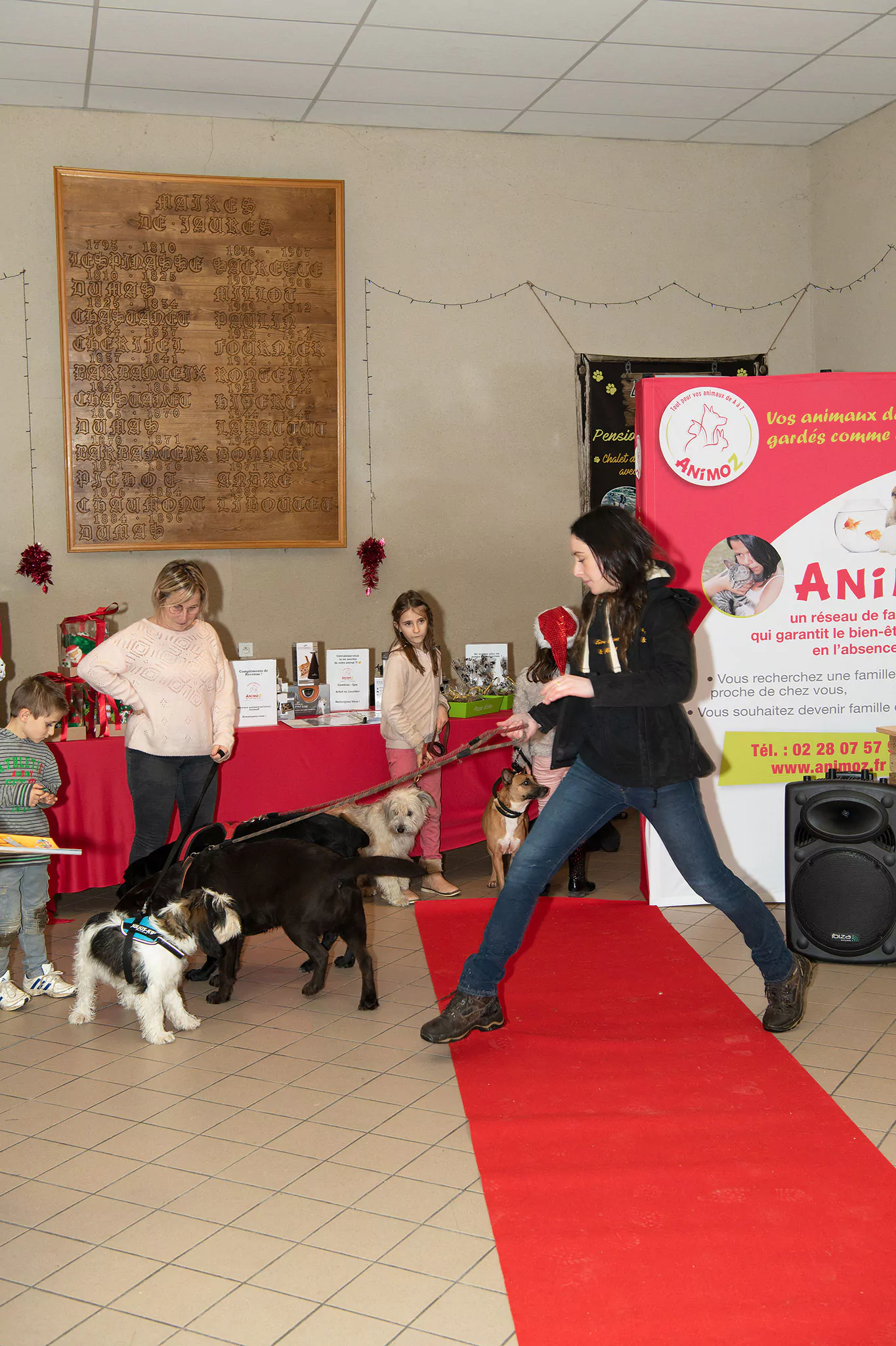 Le Noël des chiens