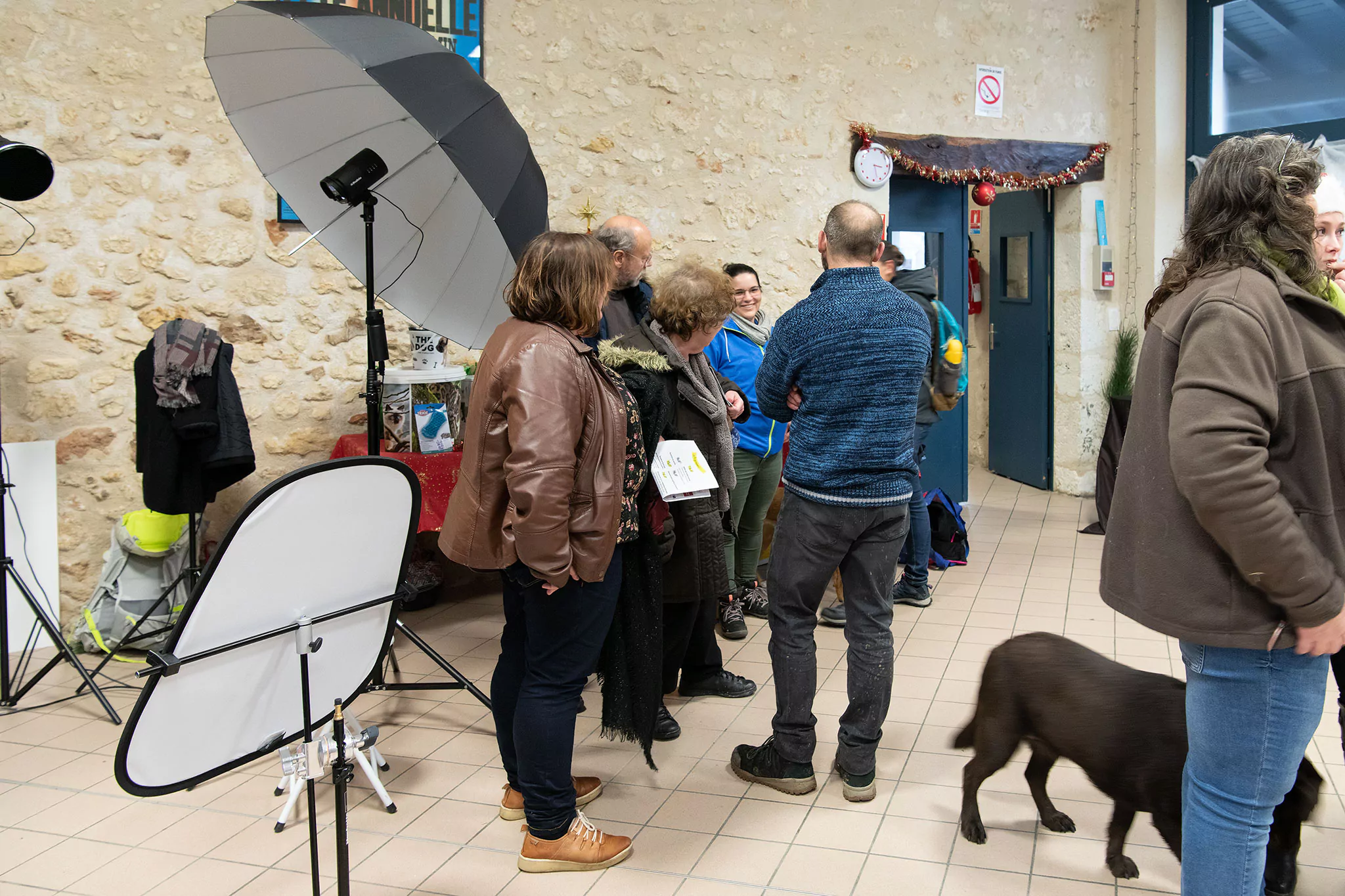 Le Noël des chiens
