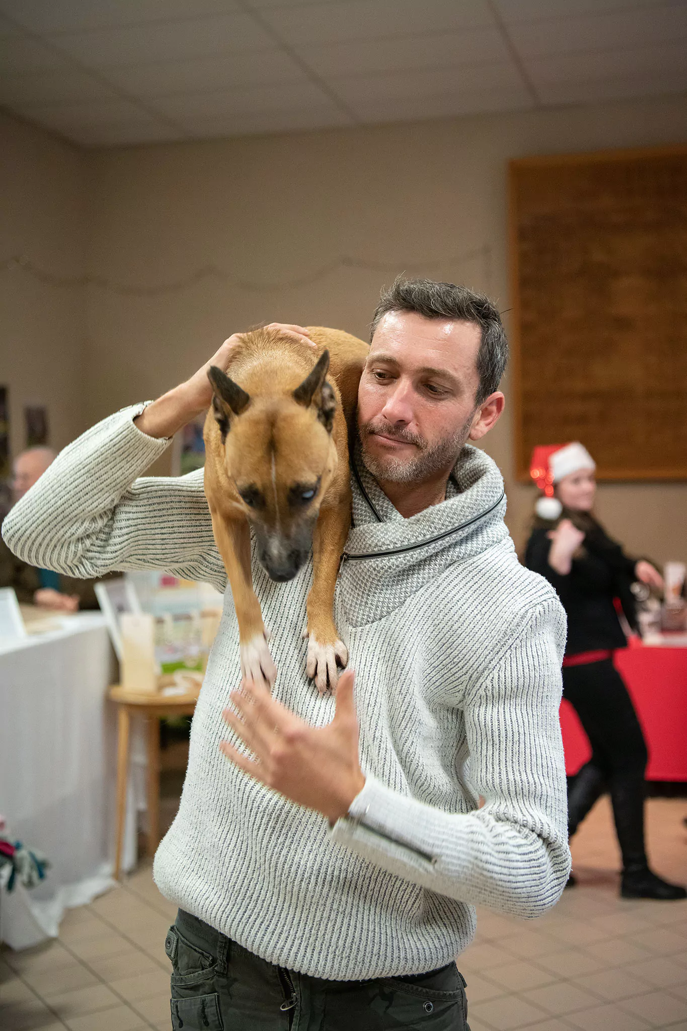 Le Noël des chiens
