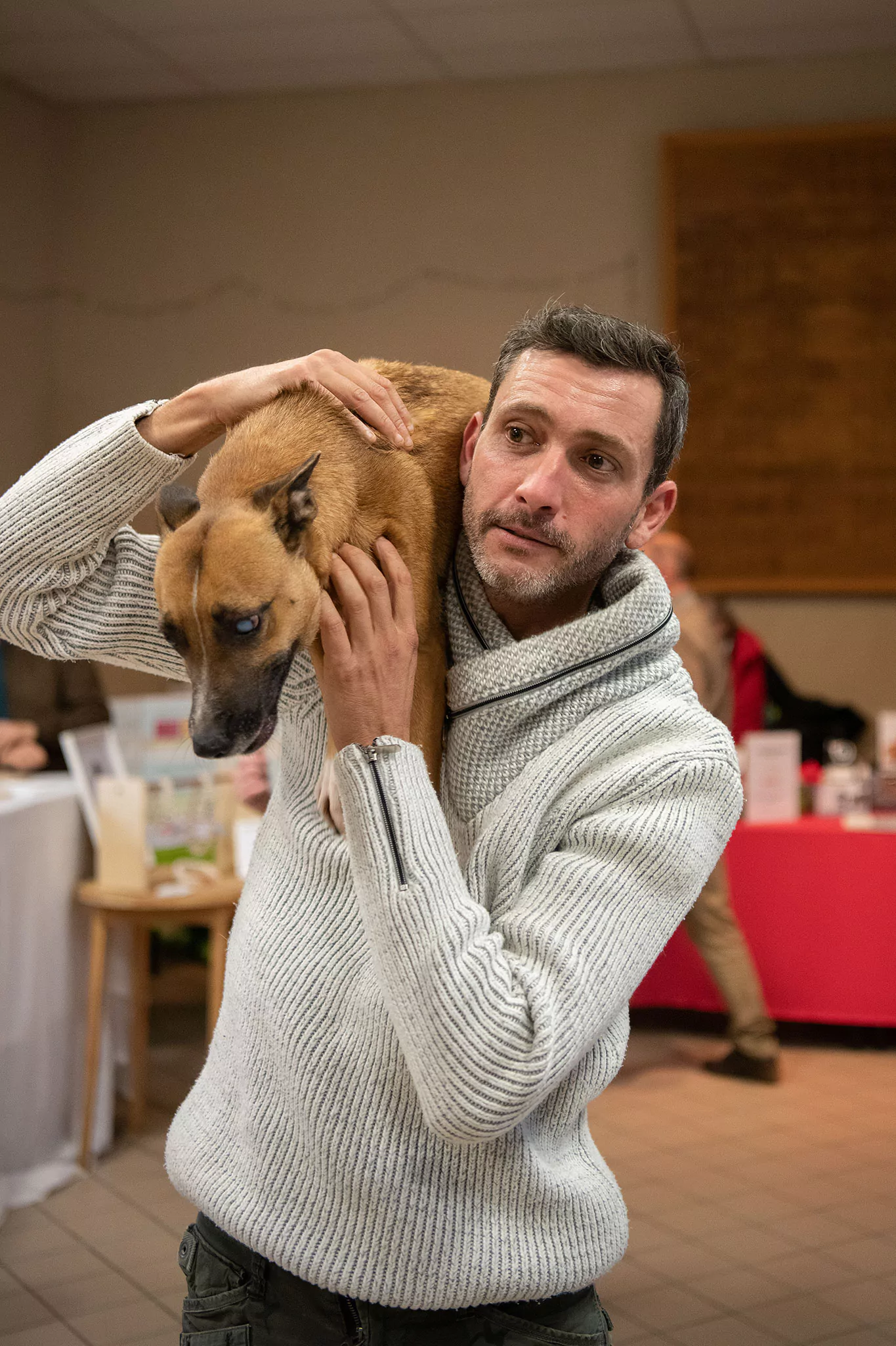 Le Noël des chiens