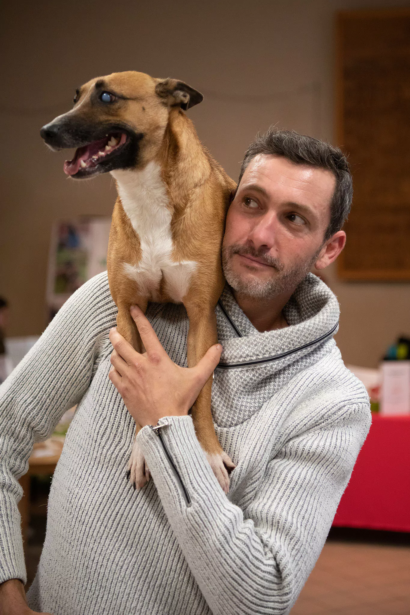 Le Noël des chiens