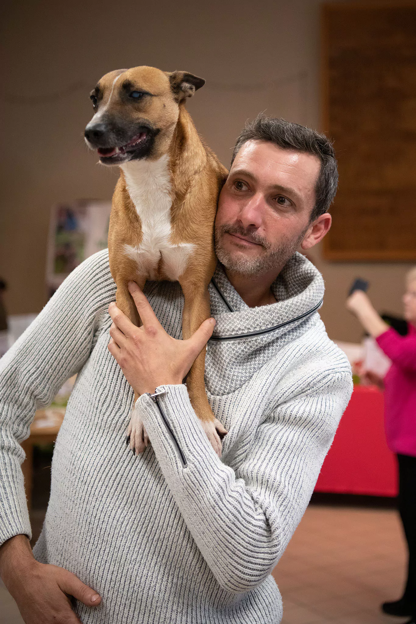 Le Noël des chiens