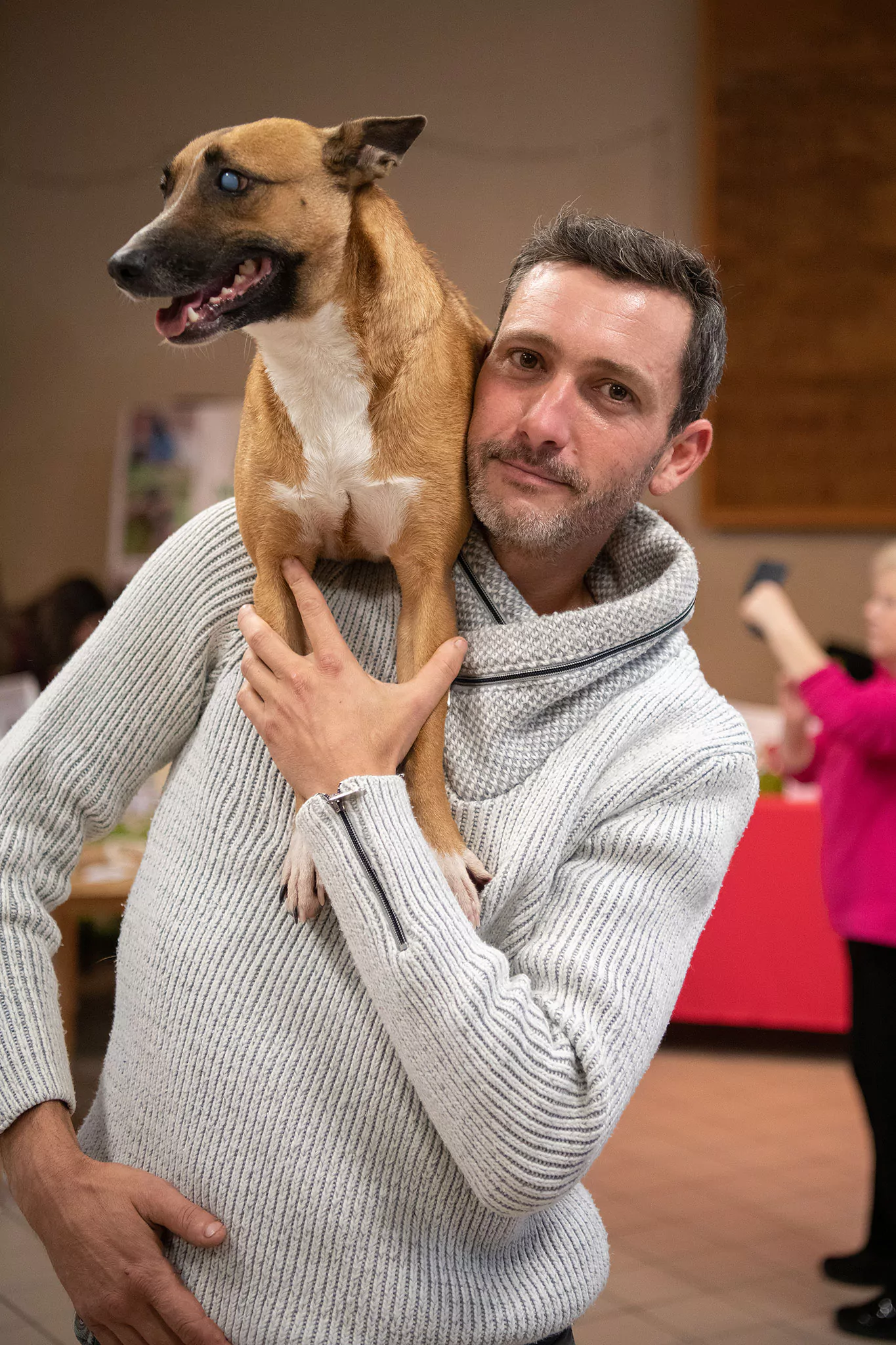 Le Noël des chiens