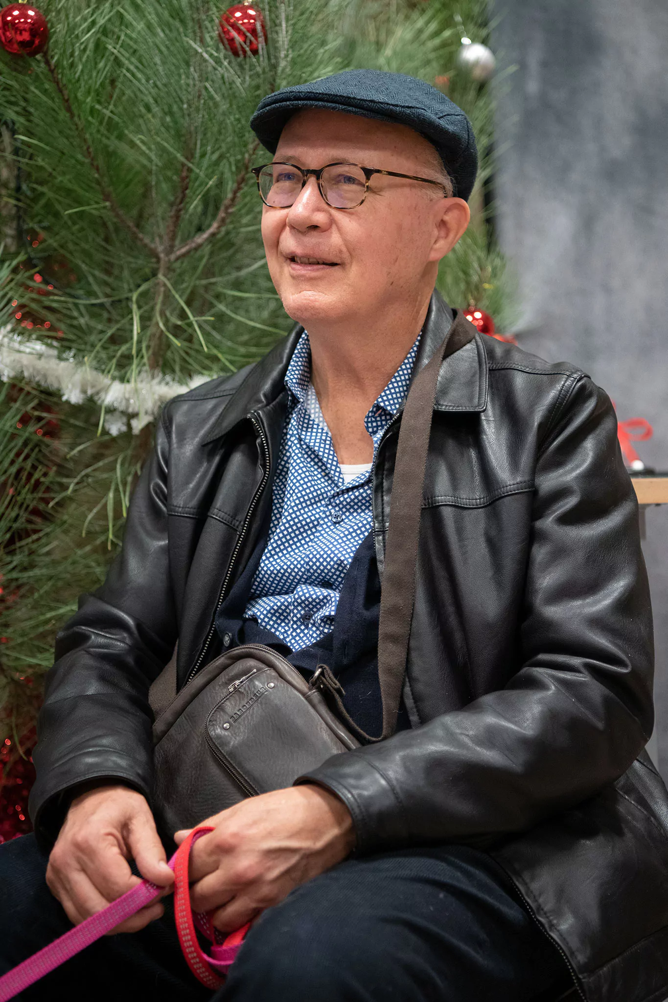 Le Noël des chiens