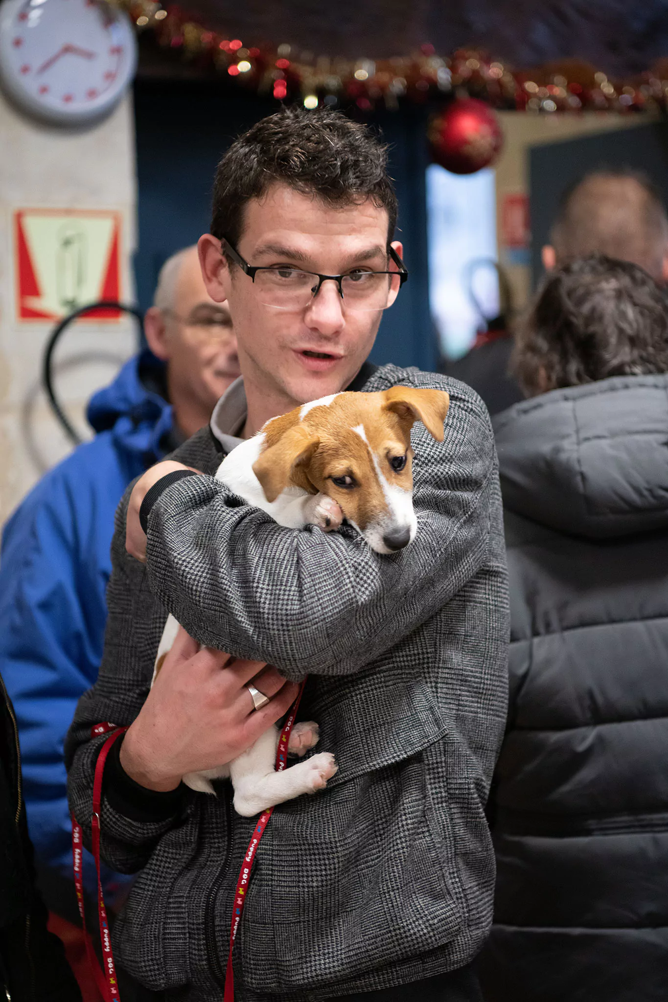 Le Noël des chiens