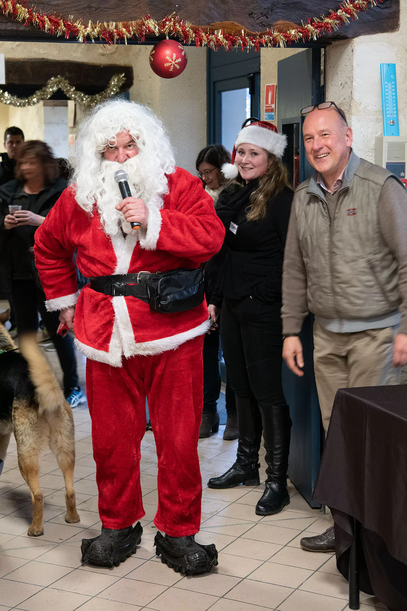 Le Noël des chiens