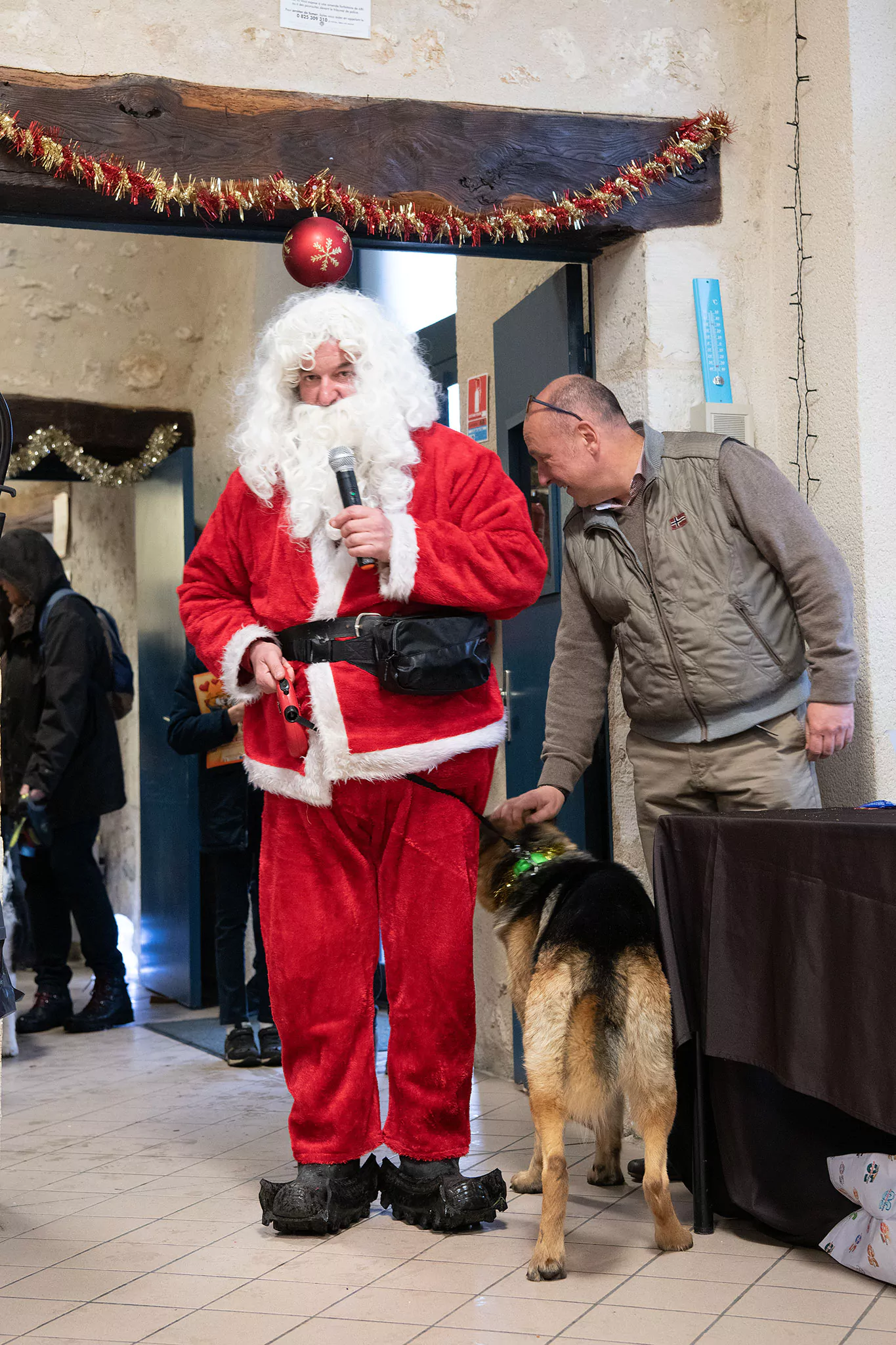 Le Noël des chiens