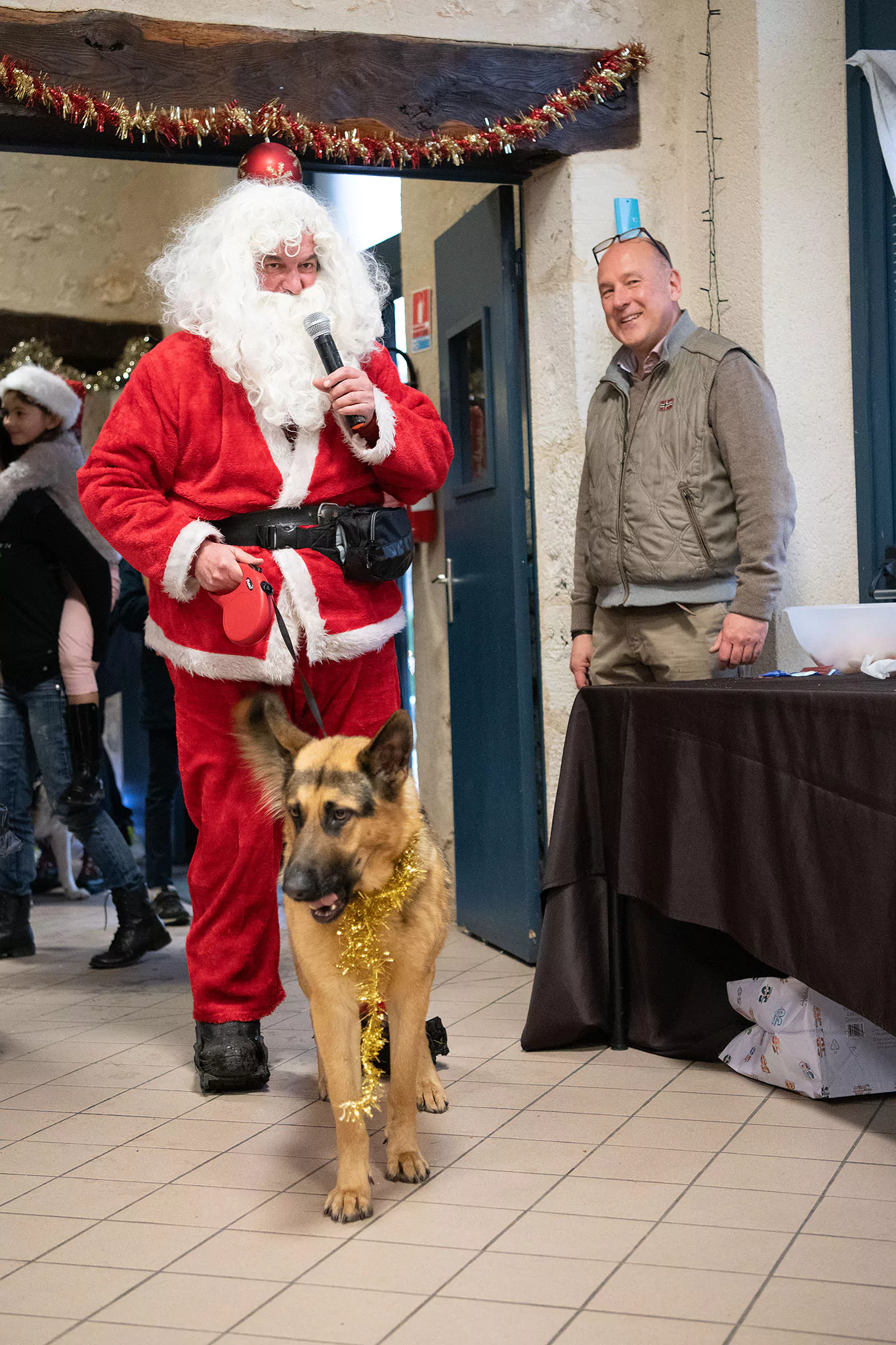 Le Noël des chiens