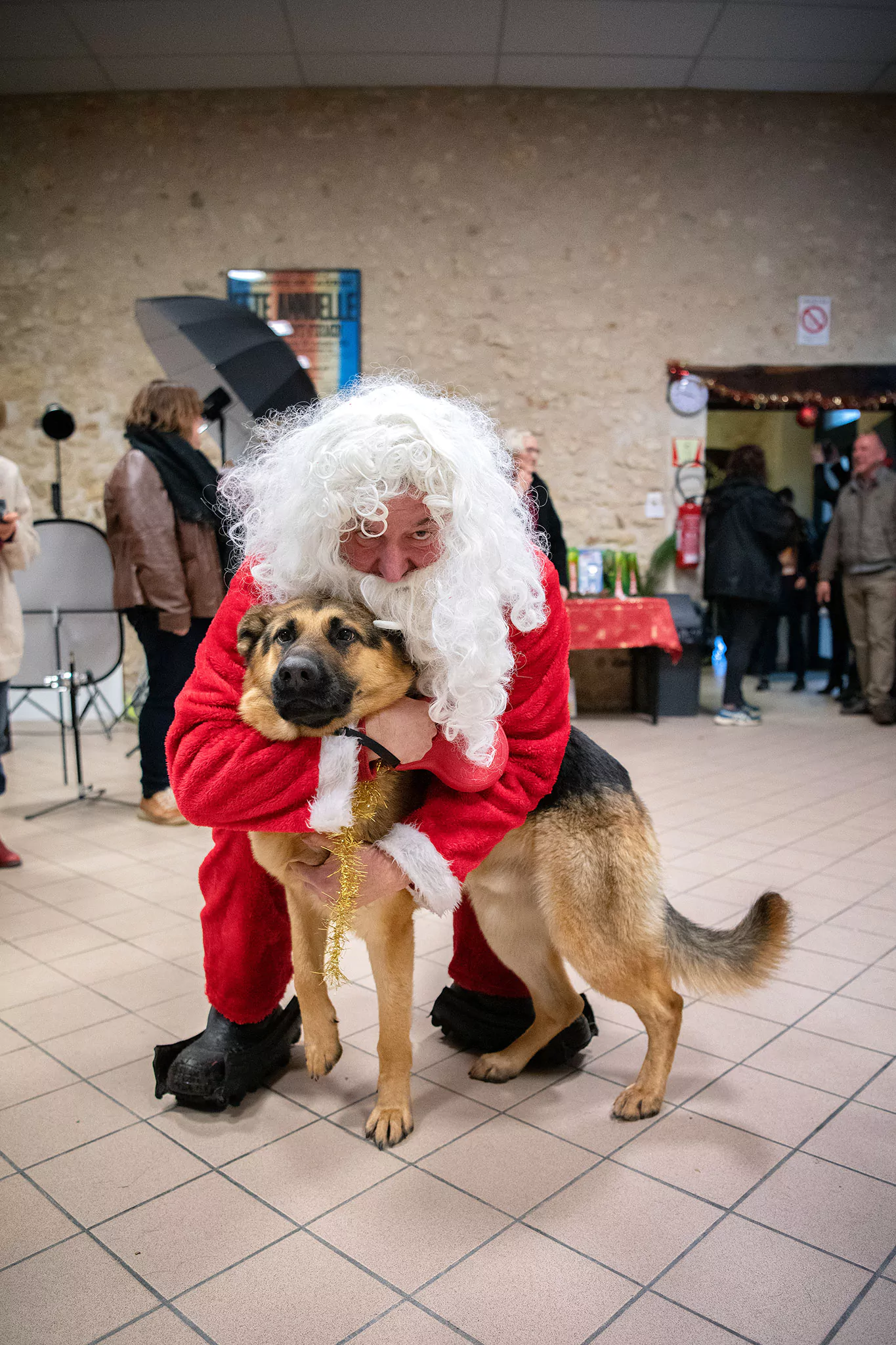 Le Noël des chiens