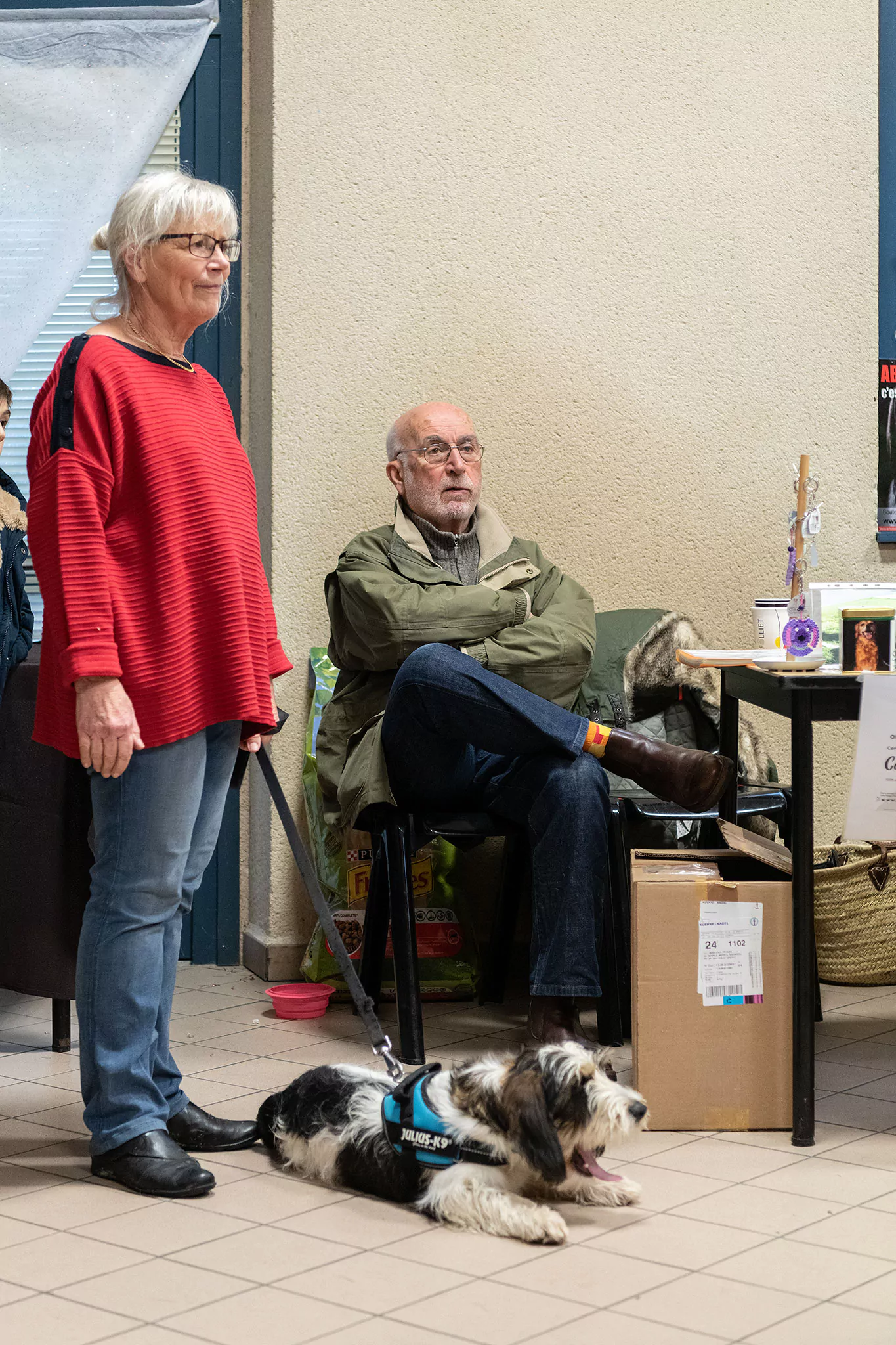 Le Noël des chiens