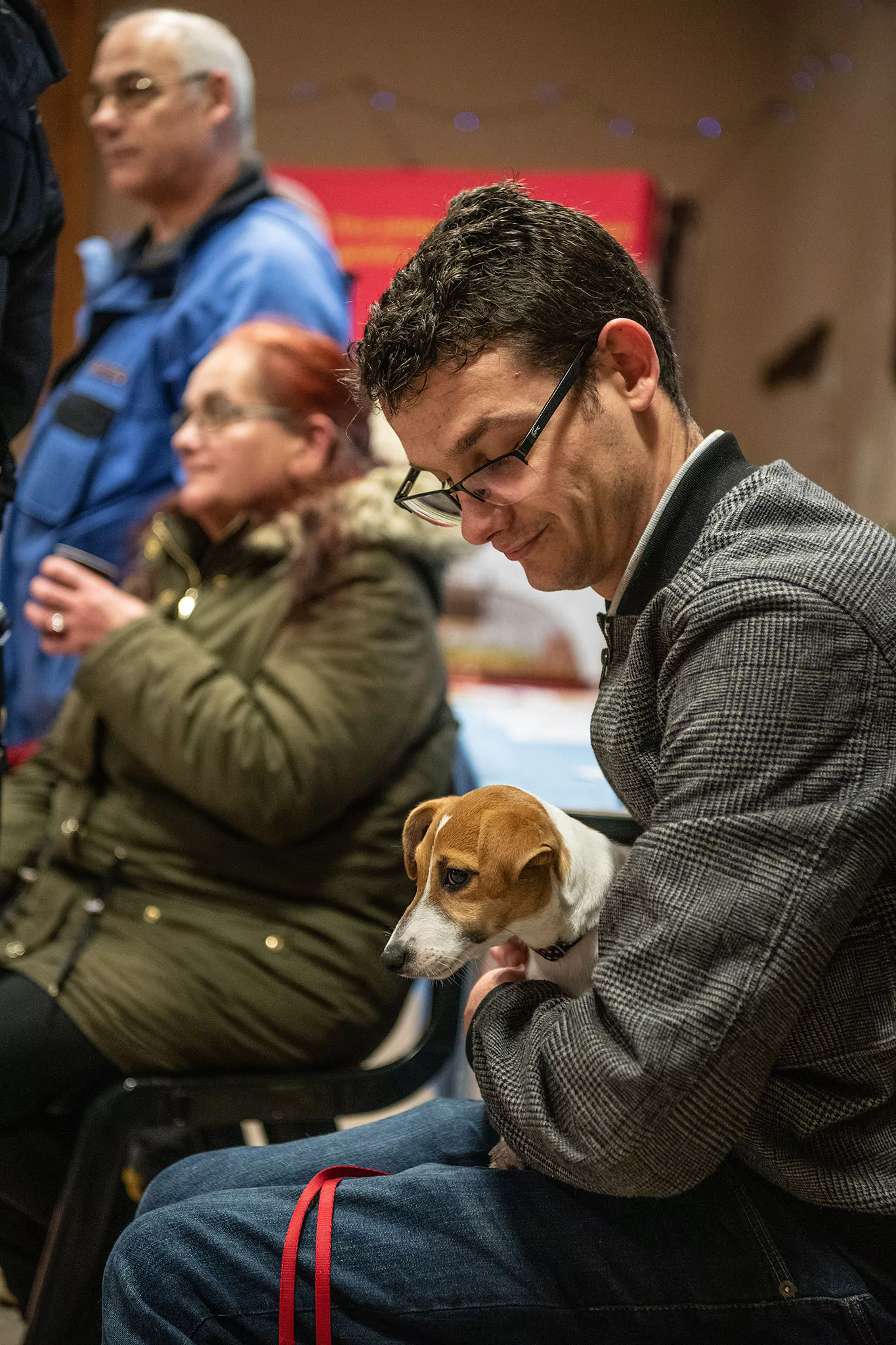 Le Noël des chiens
