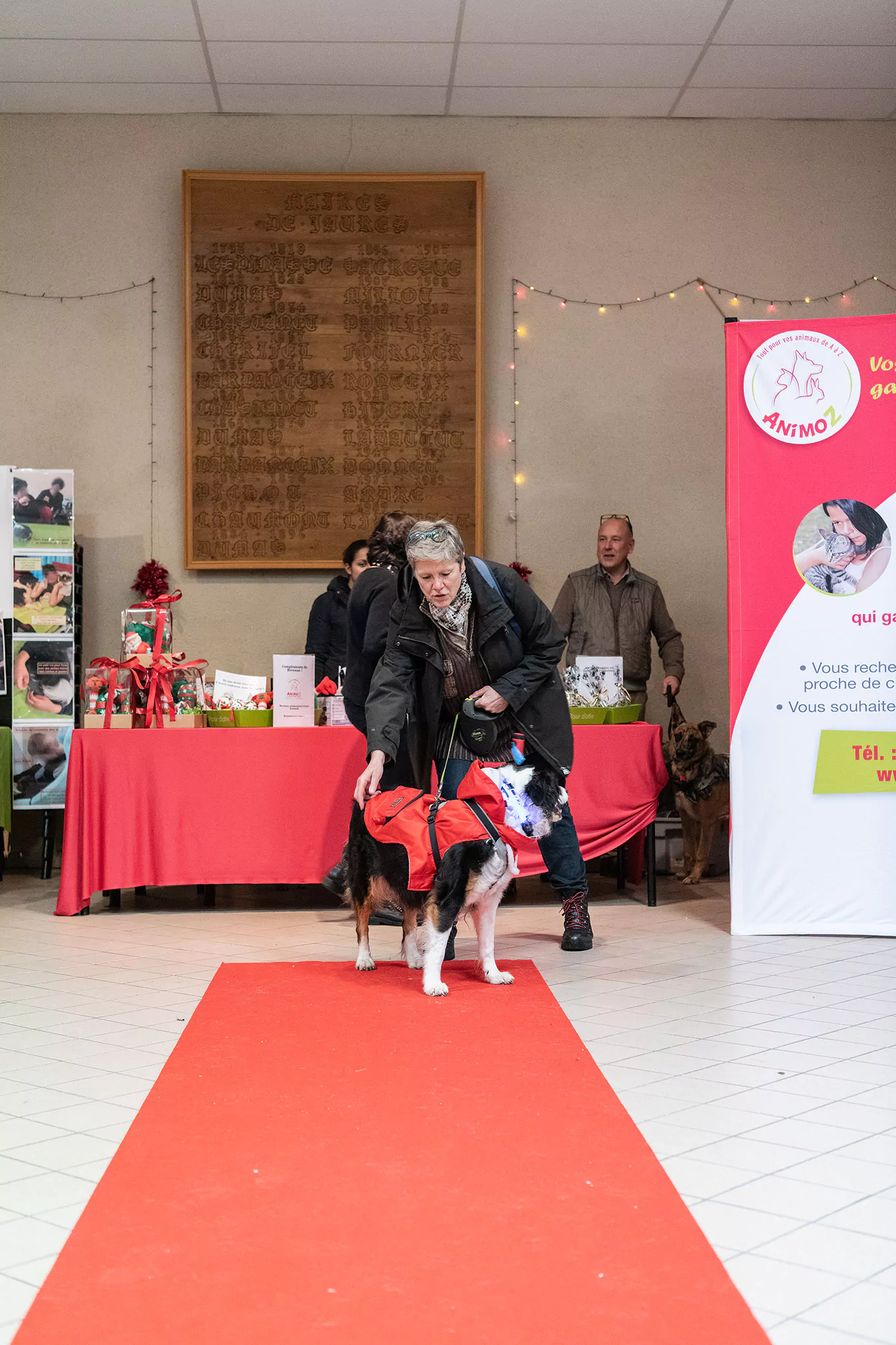 Le Noël des chiens