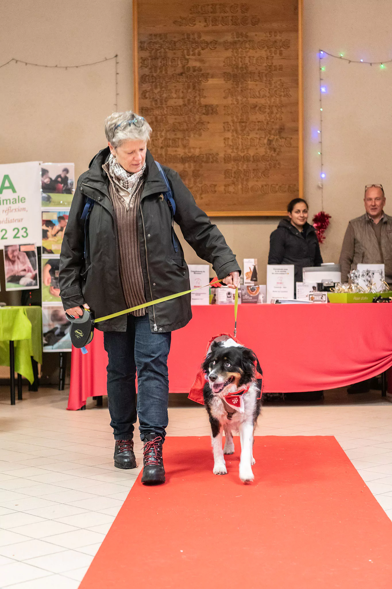 Le Noël des chiens
