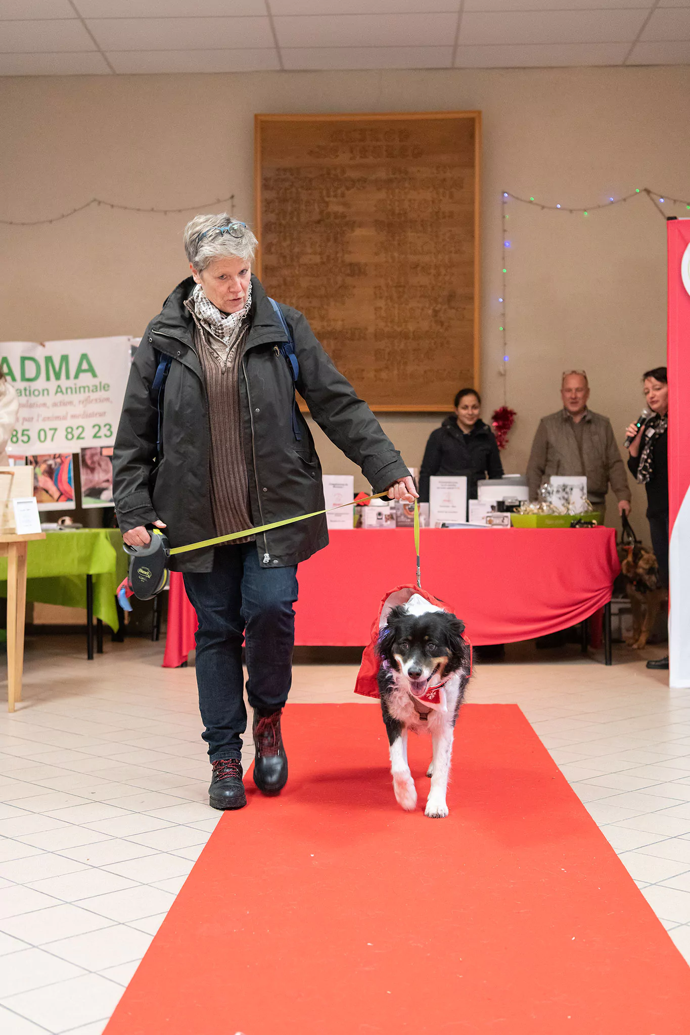 Le Noël des chiens
