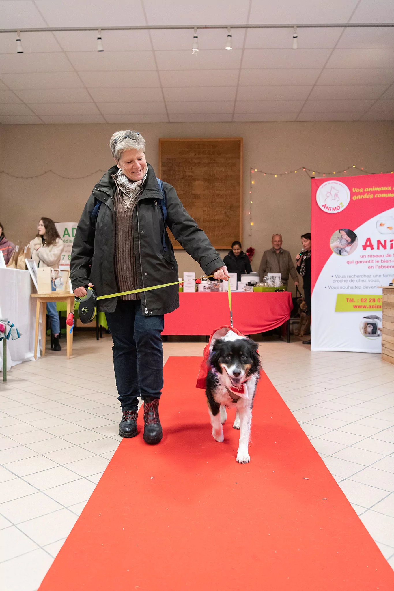 Le Noël des chiens