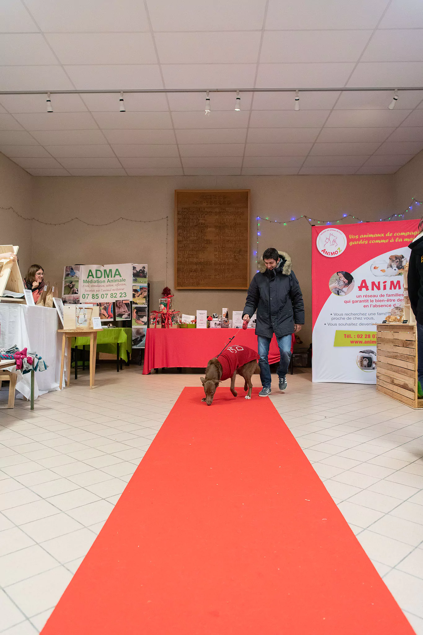 Le Noël des chiens