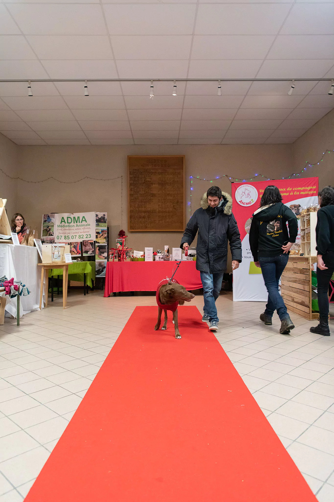 Le Noël des chiens
