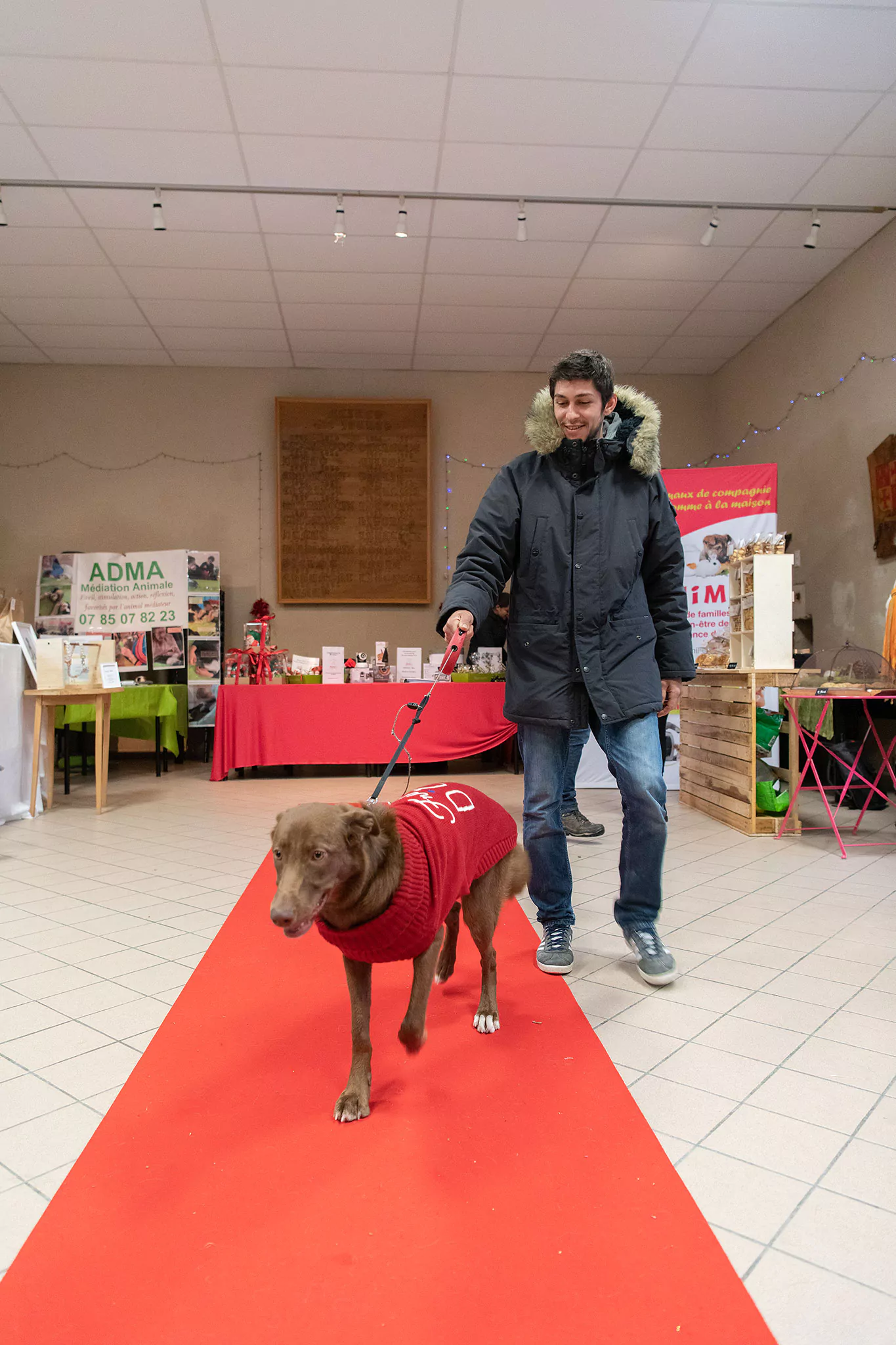 Le Noël des chiens