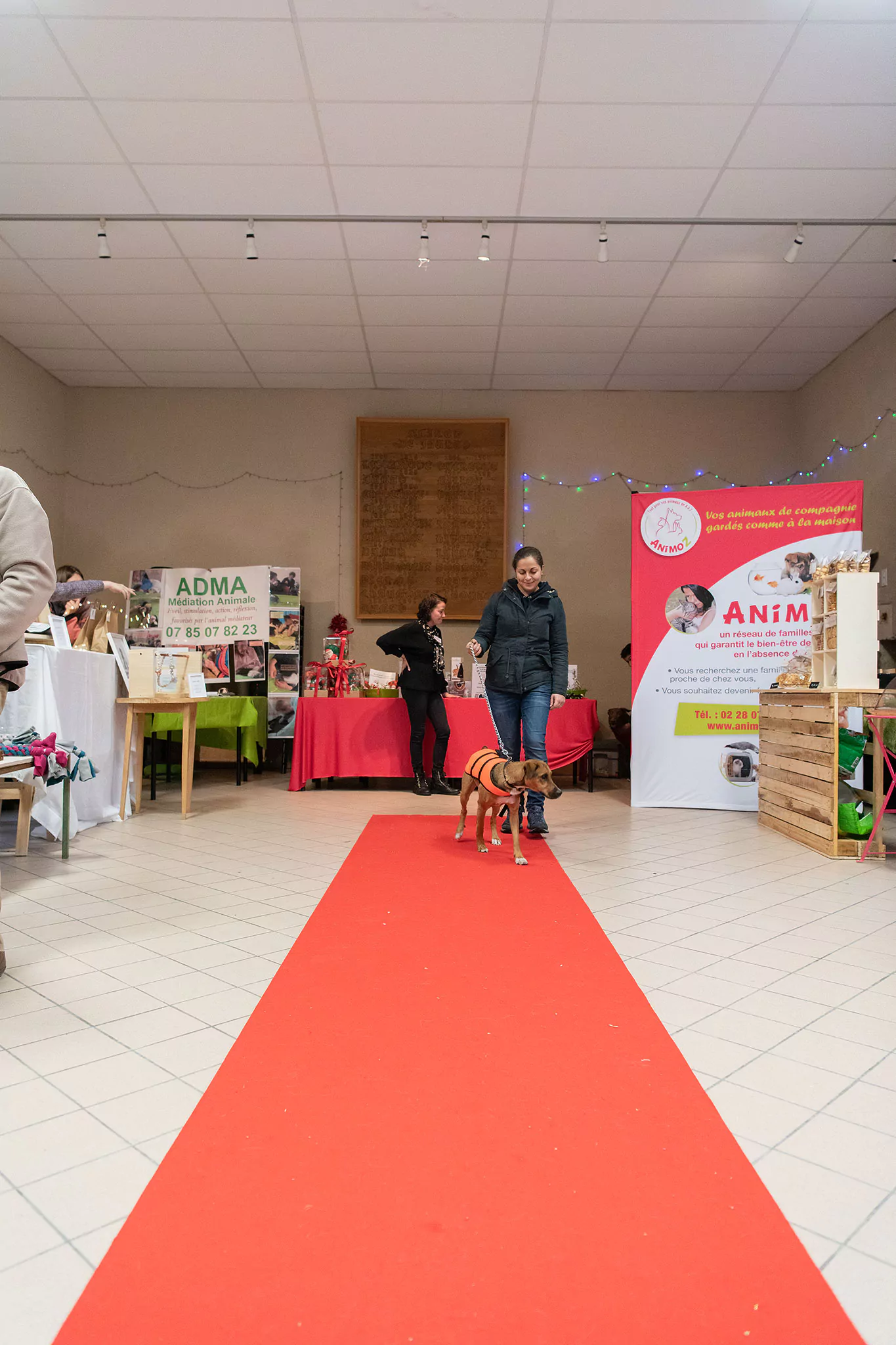 Le Noël des chiens