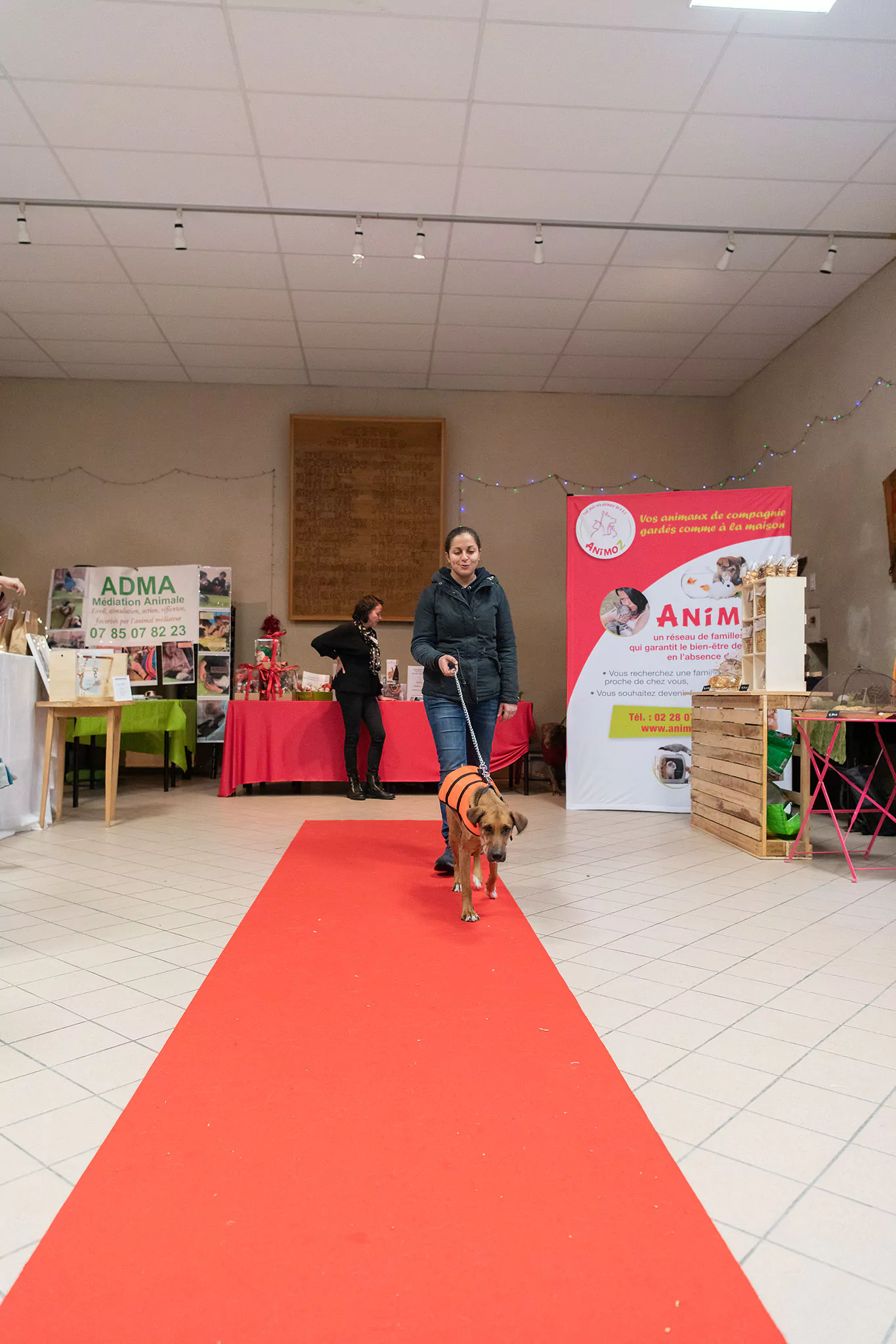 Le Noël des chiens