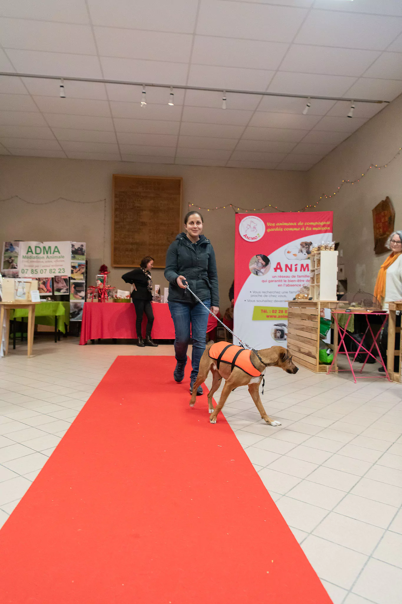 Le Noël des chiens