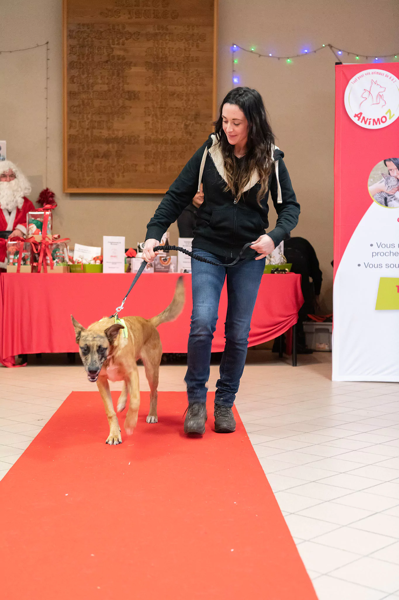 Le Noël des chiens