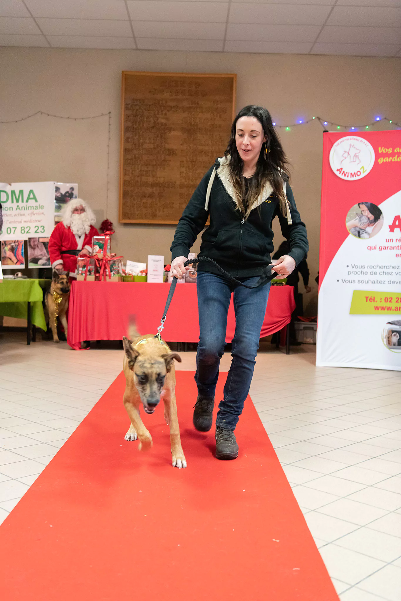 Le Noël des chiens