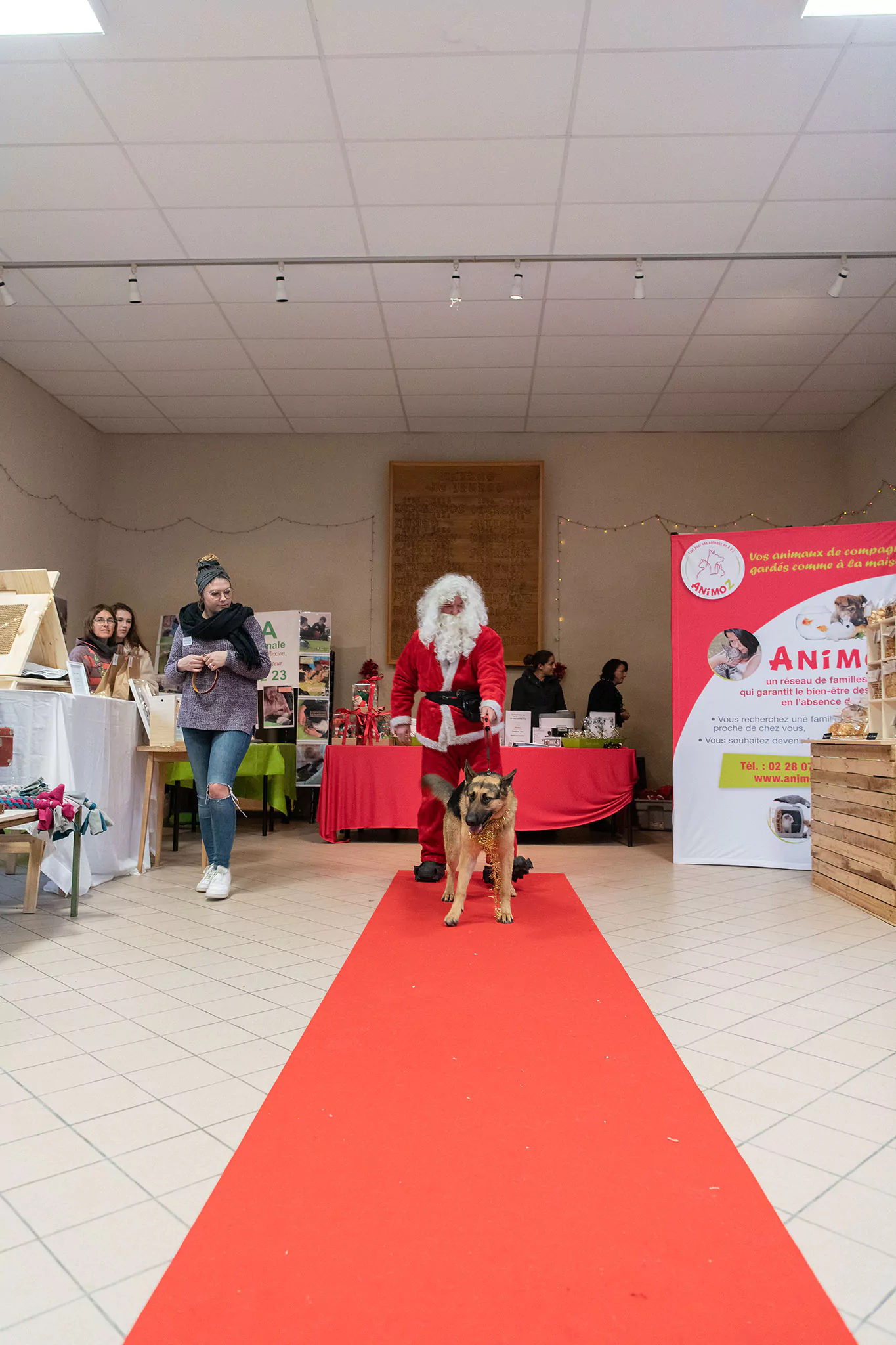 Le Noël des chiens