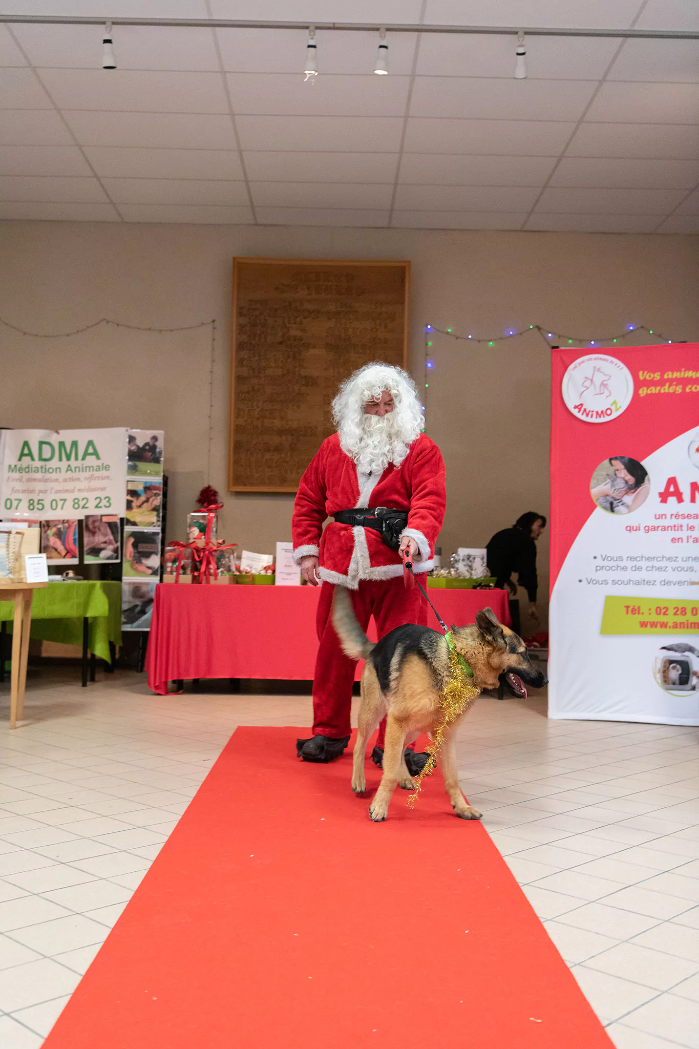 Le Noël des chiens