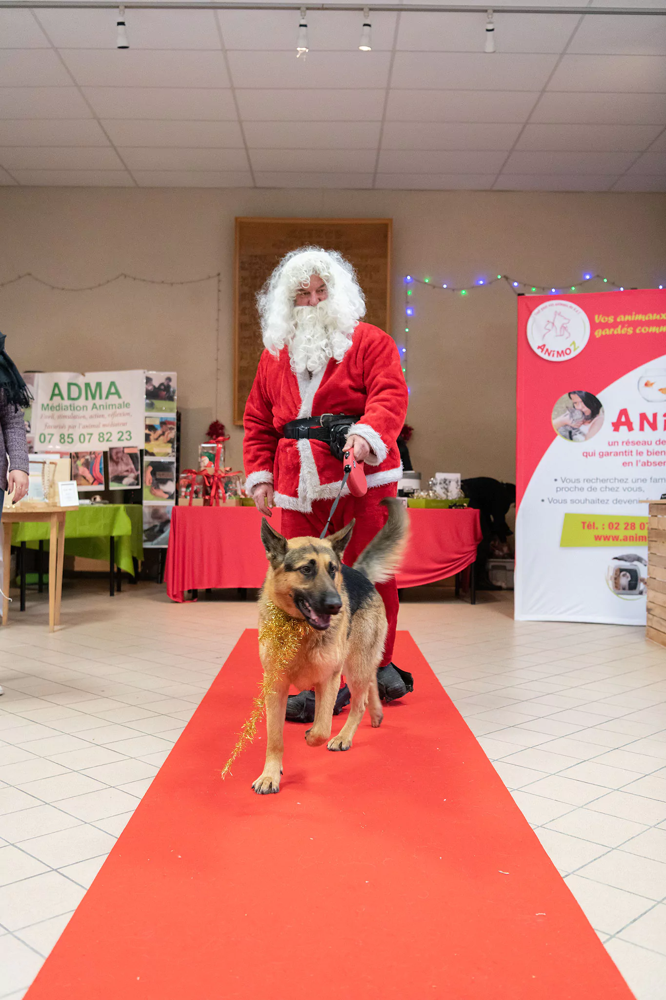 Le Noël des chiens