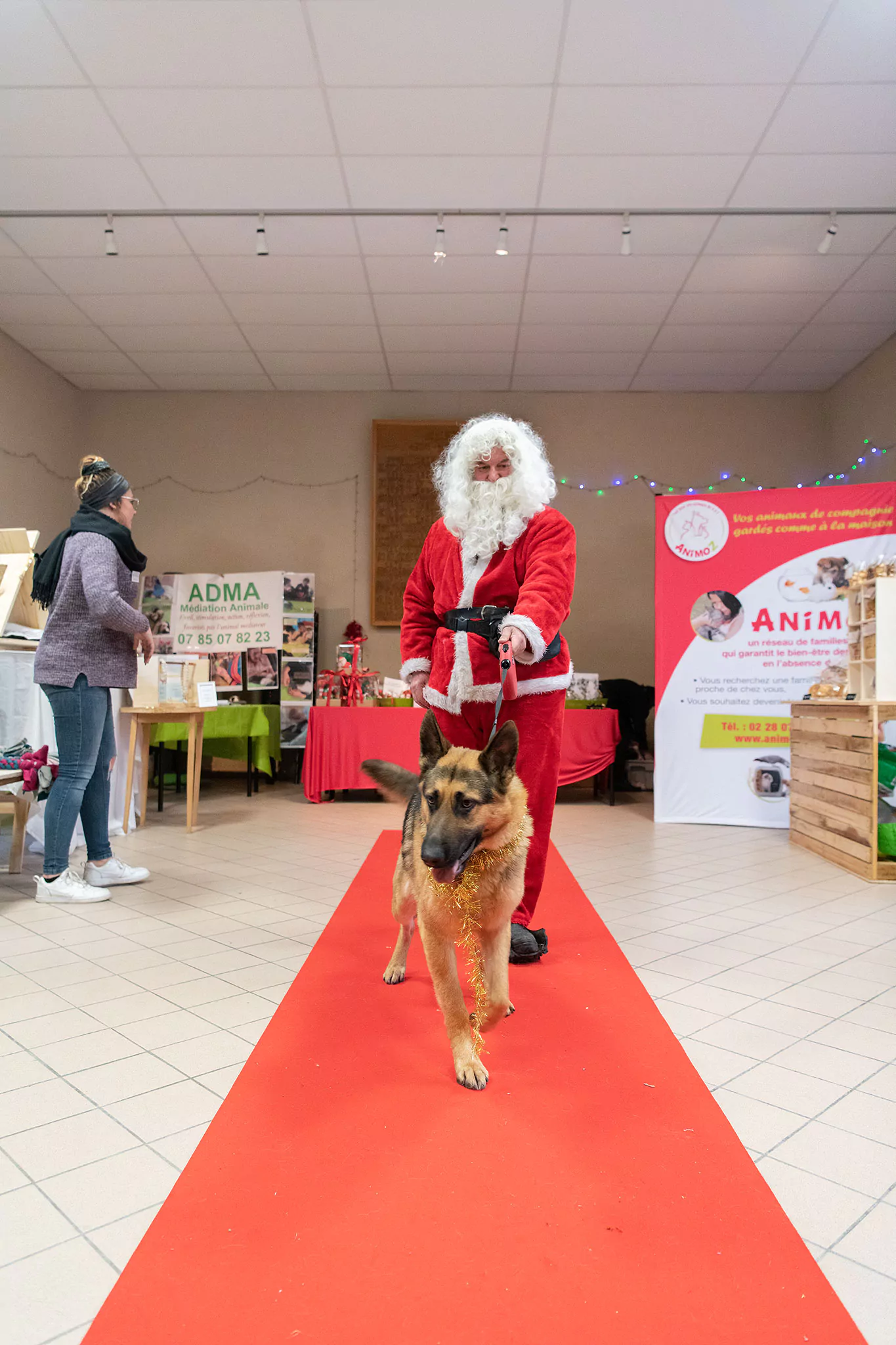 Le Noël des chiens