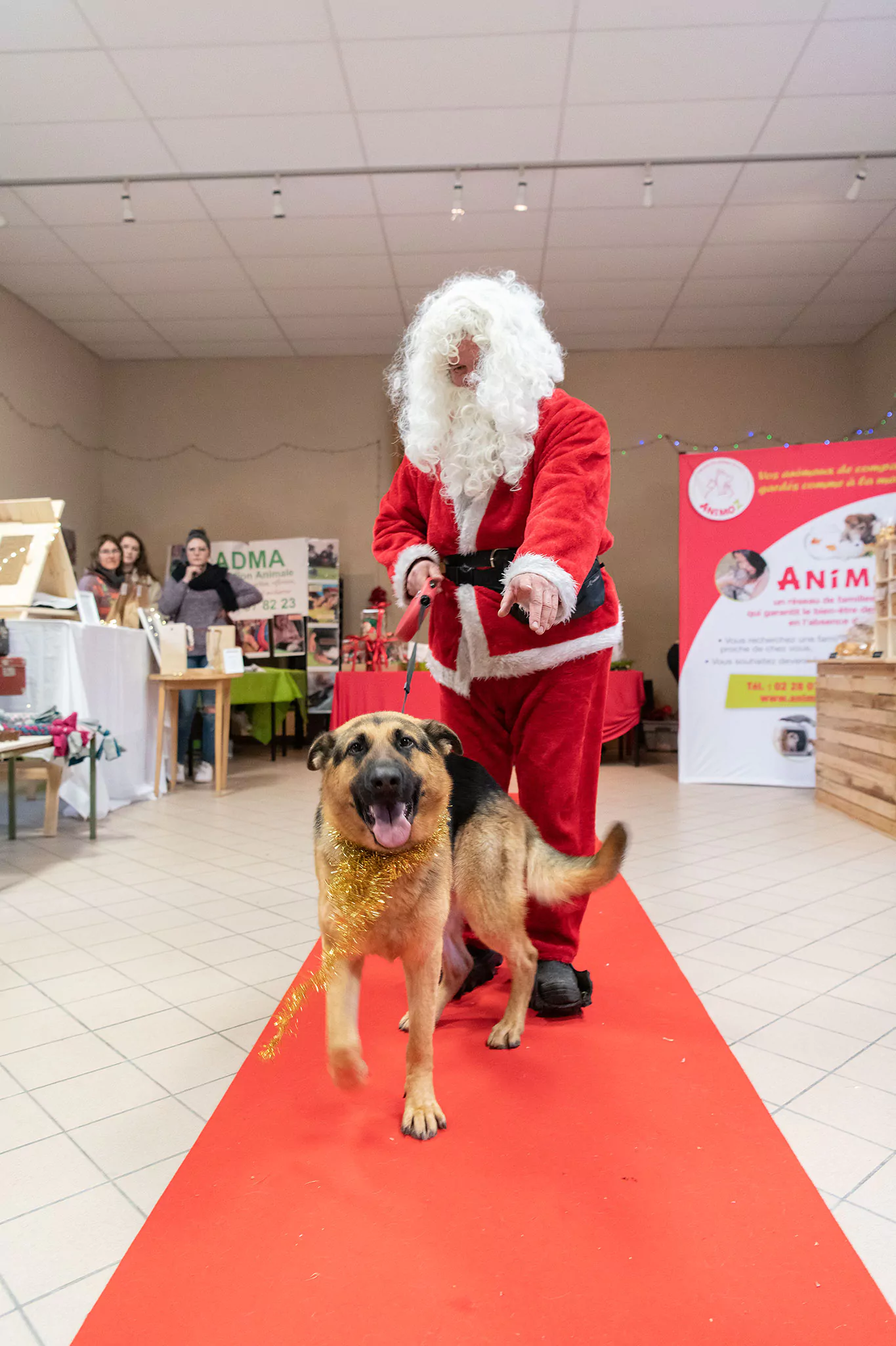 Le Noël des chiens