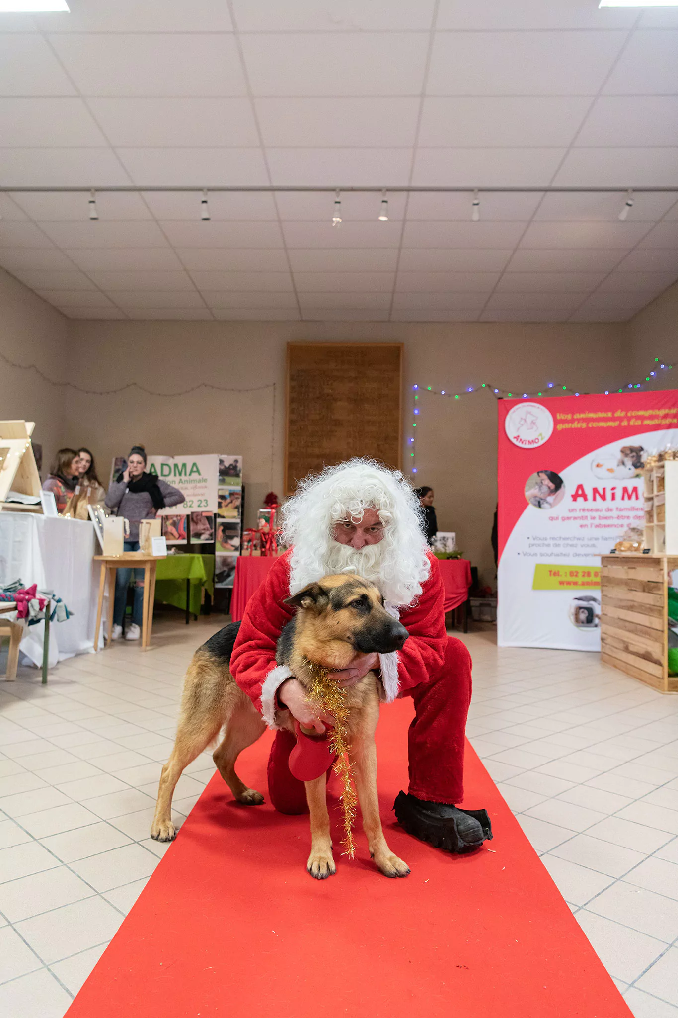 Le Noël des chiens