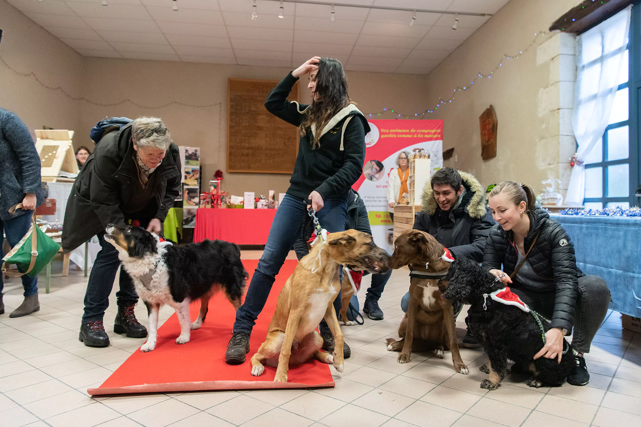 Le Noël des chiens