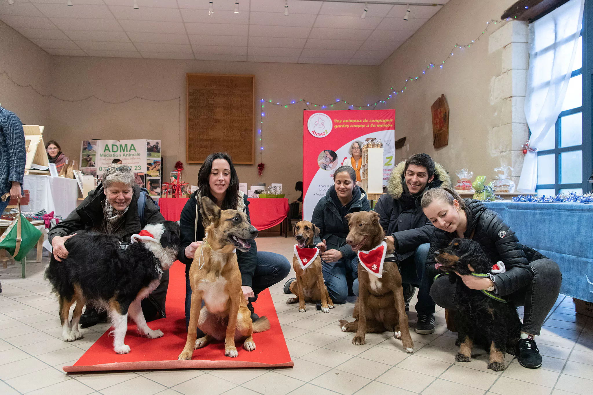 Le Noël des chiens